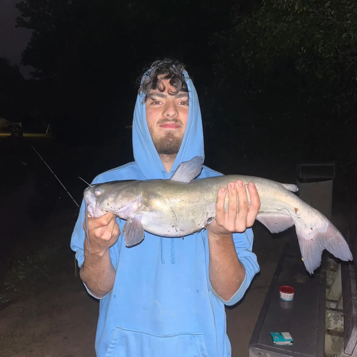 Channel catfish caught on Fishbrain