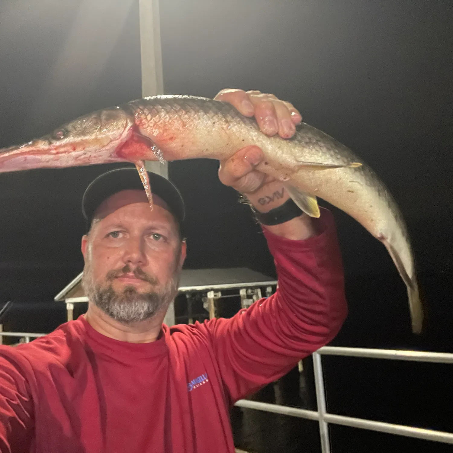 Longnose gar caught on Fishbrain