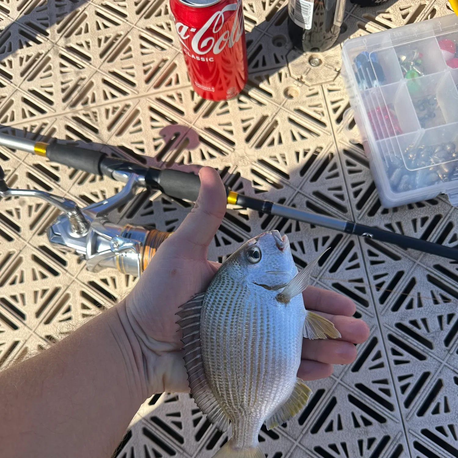 catch