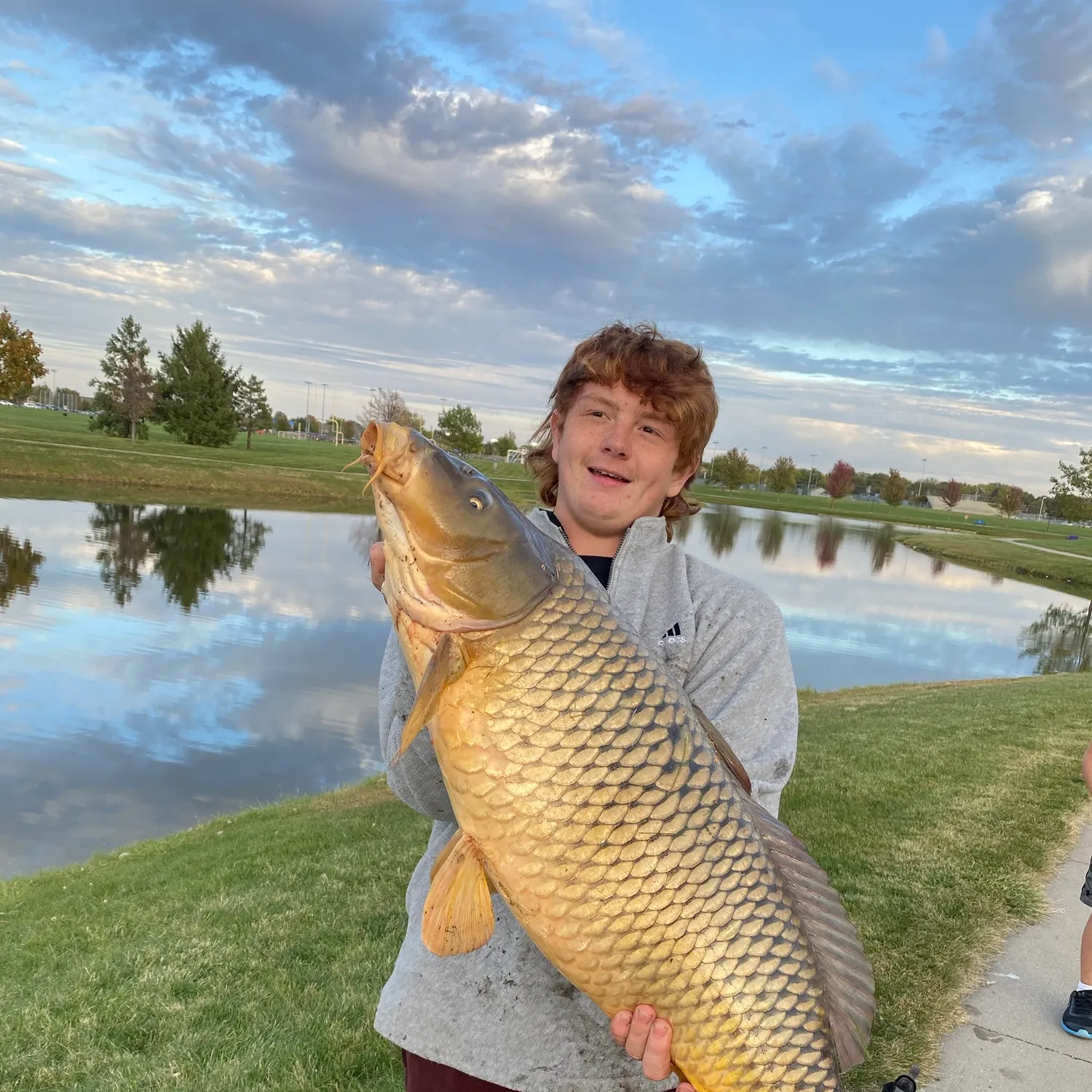 Common carp caught on Fishbrain