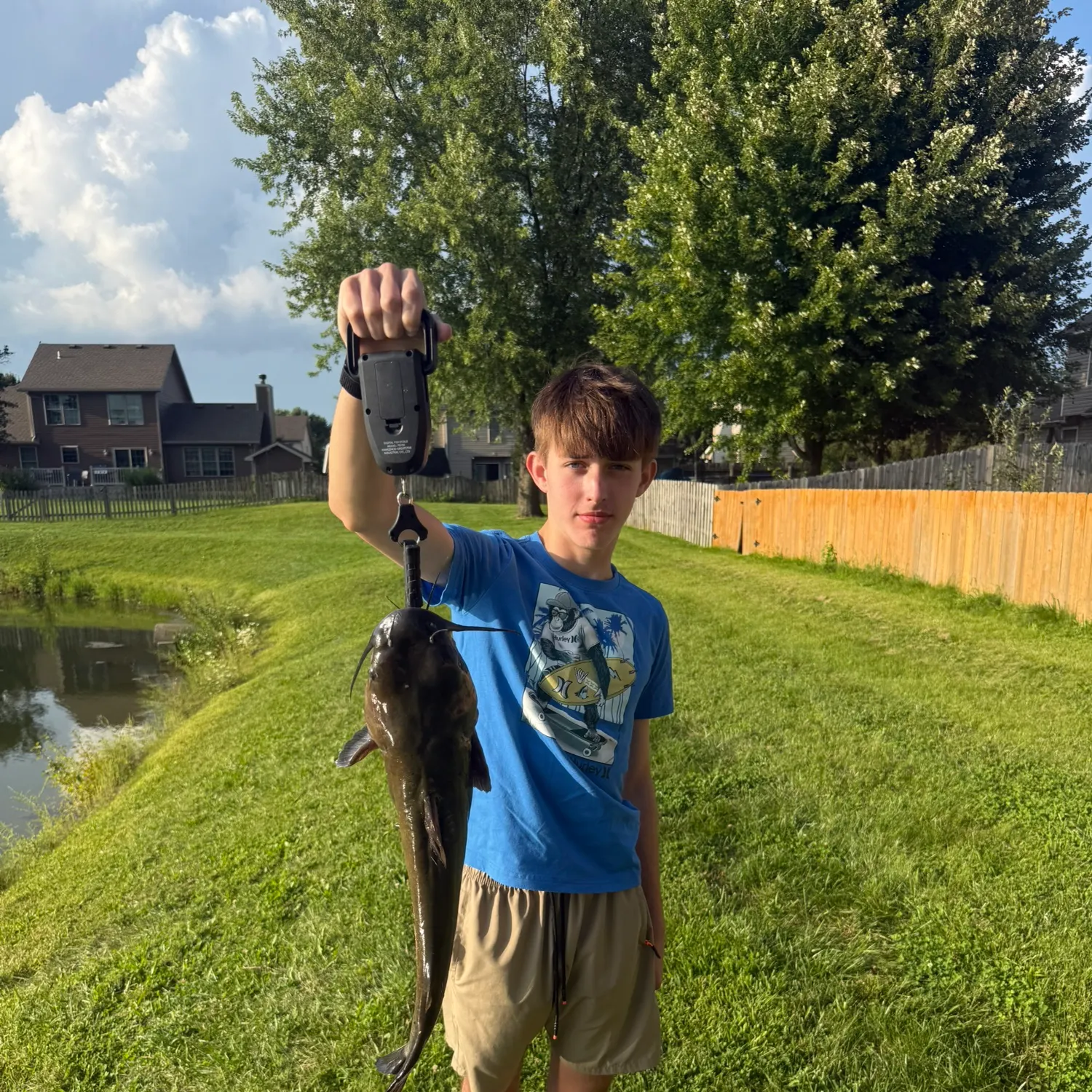 Channel catfish caught on Fishbrain