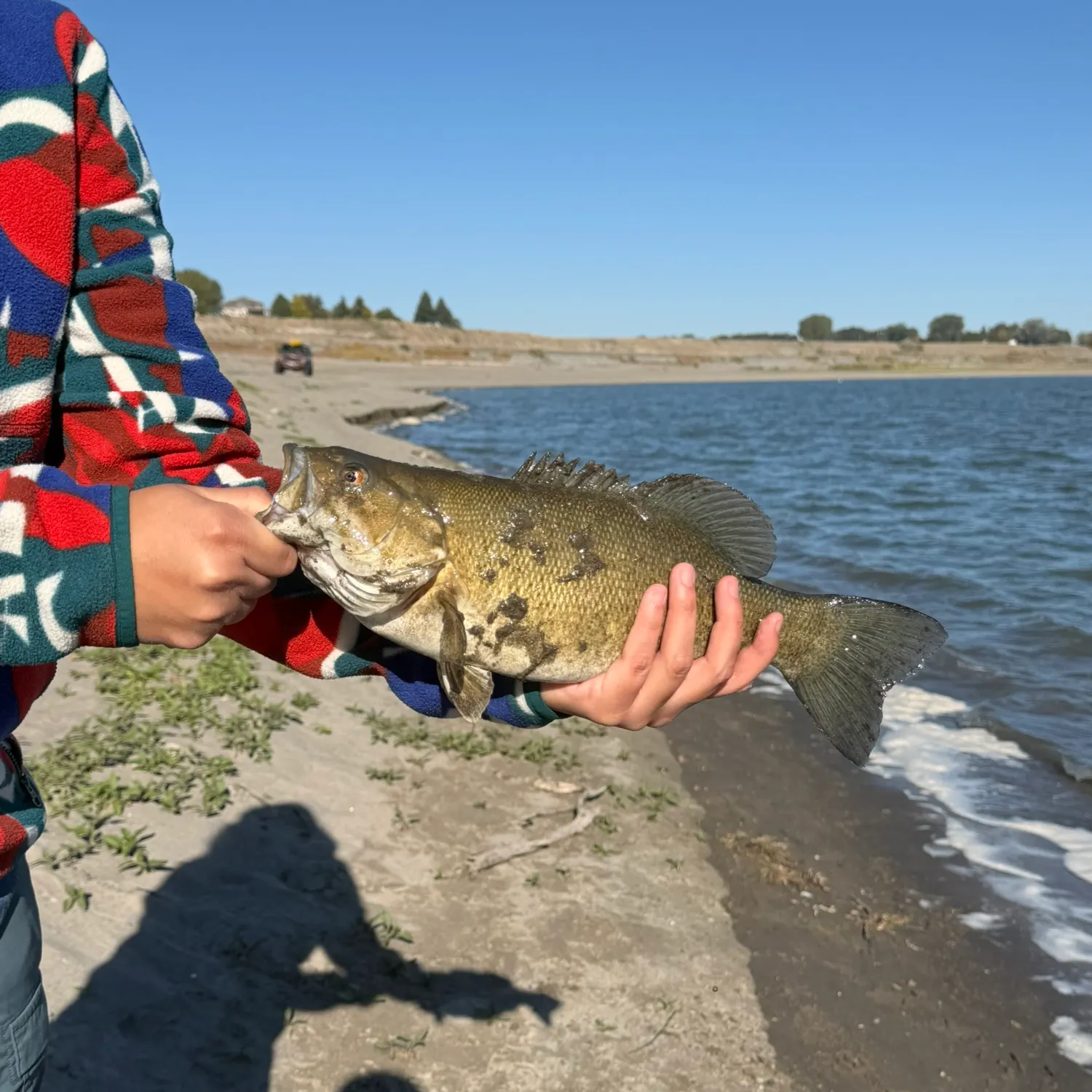 Smallmouth bass caught on Fishbrain