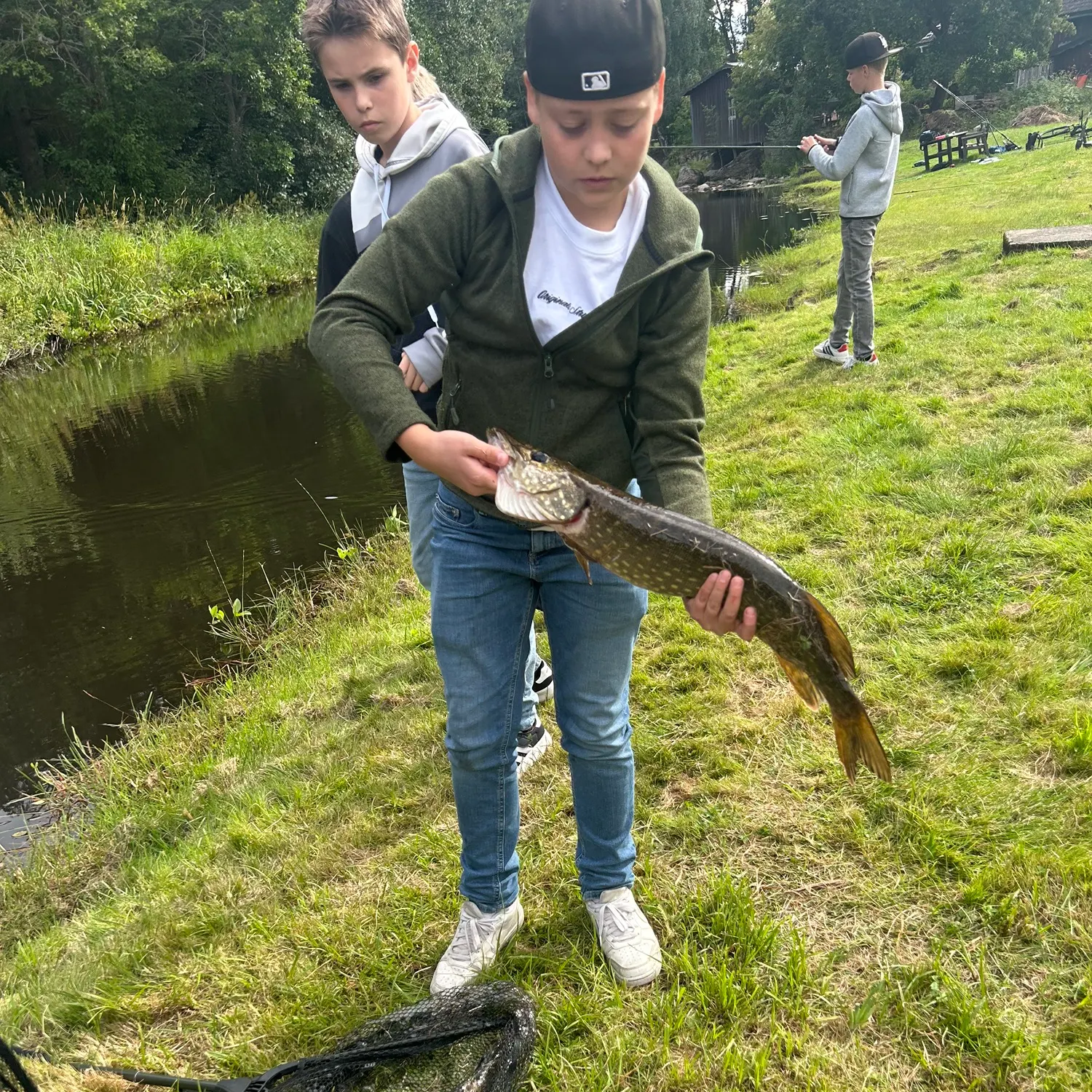 Northern pike caught on Fishbrain