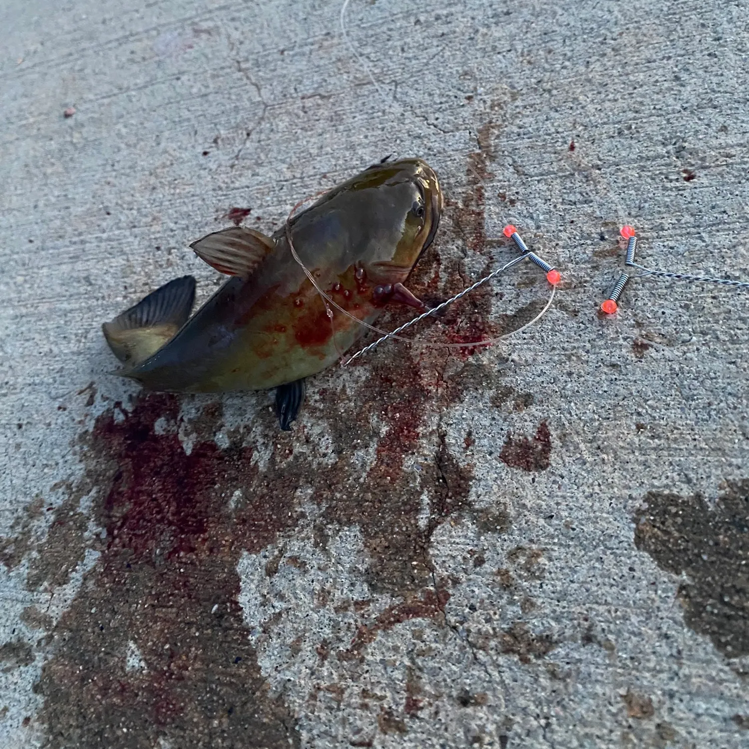 catch