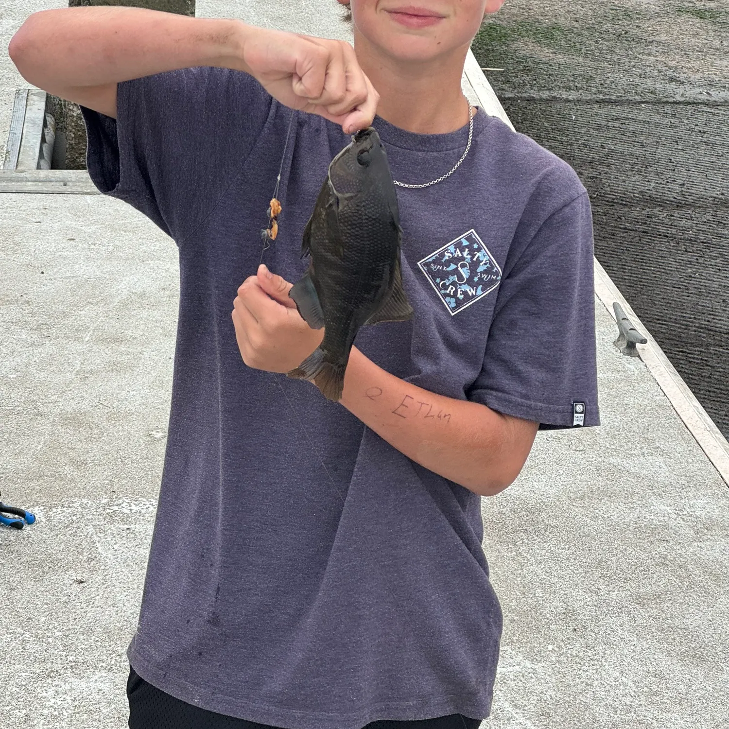 The most recent Pile perch catches on Fishbrain