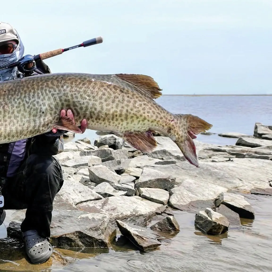 Muskie caught on Fishbrain