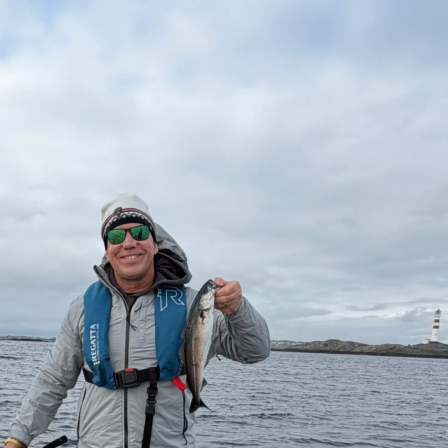 Atlantic pollock caught on Fishbrain