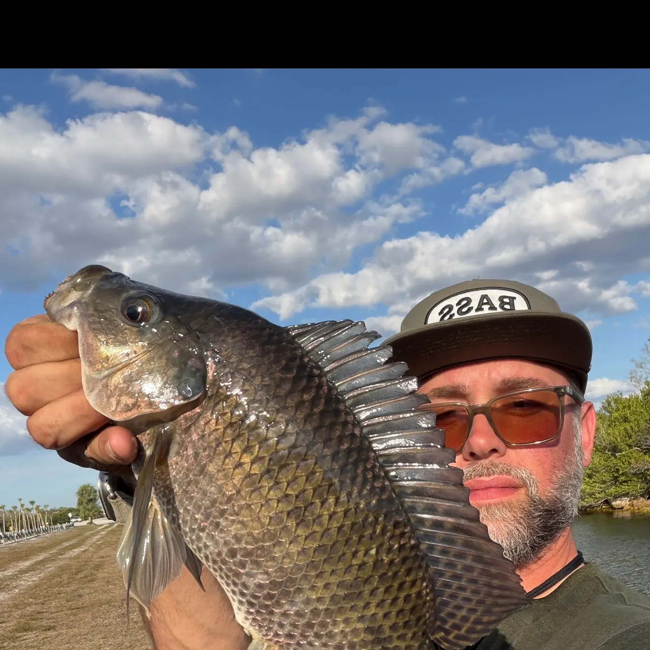The most recent Black acara catches on Fishbrain