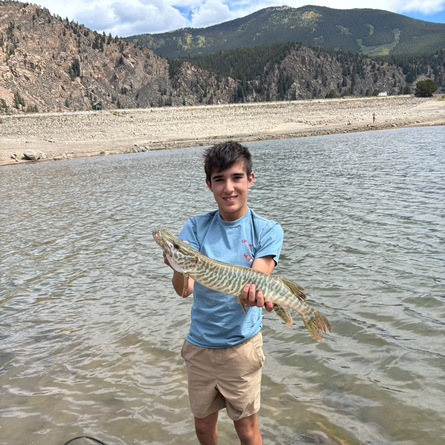 The most recent Tiger muskie catches on Fishbrain