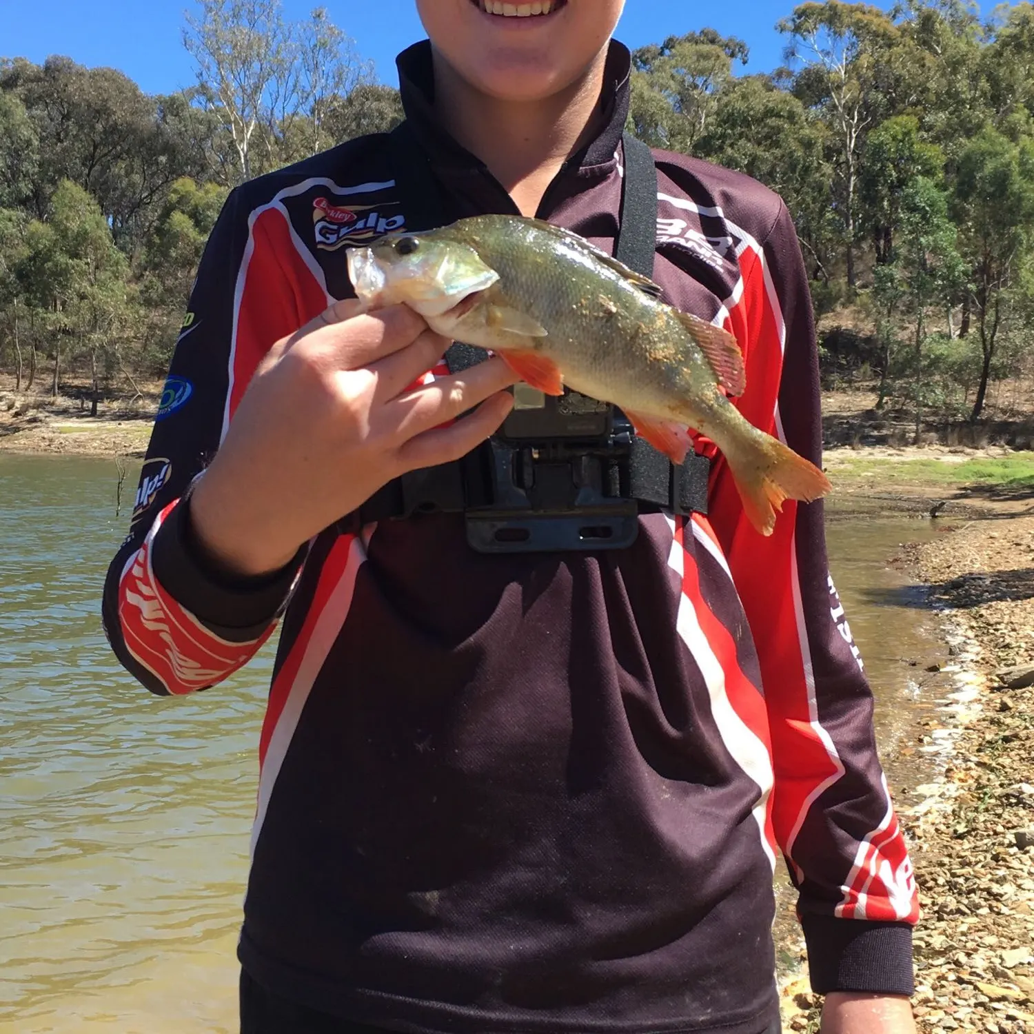angler catch