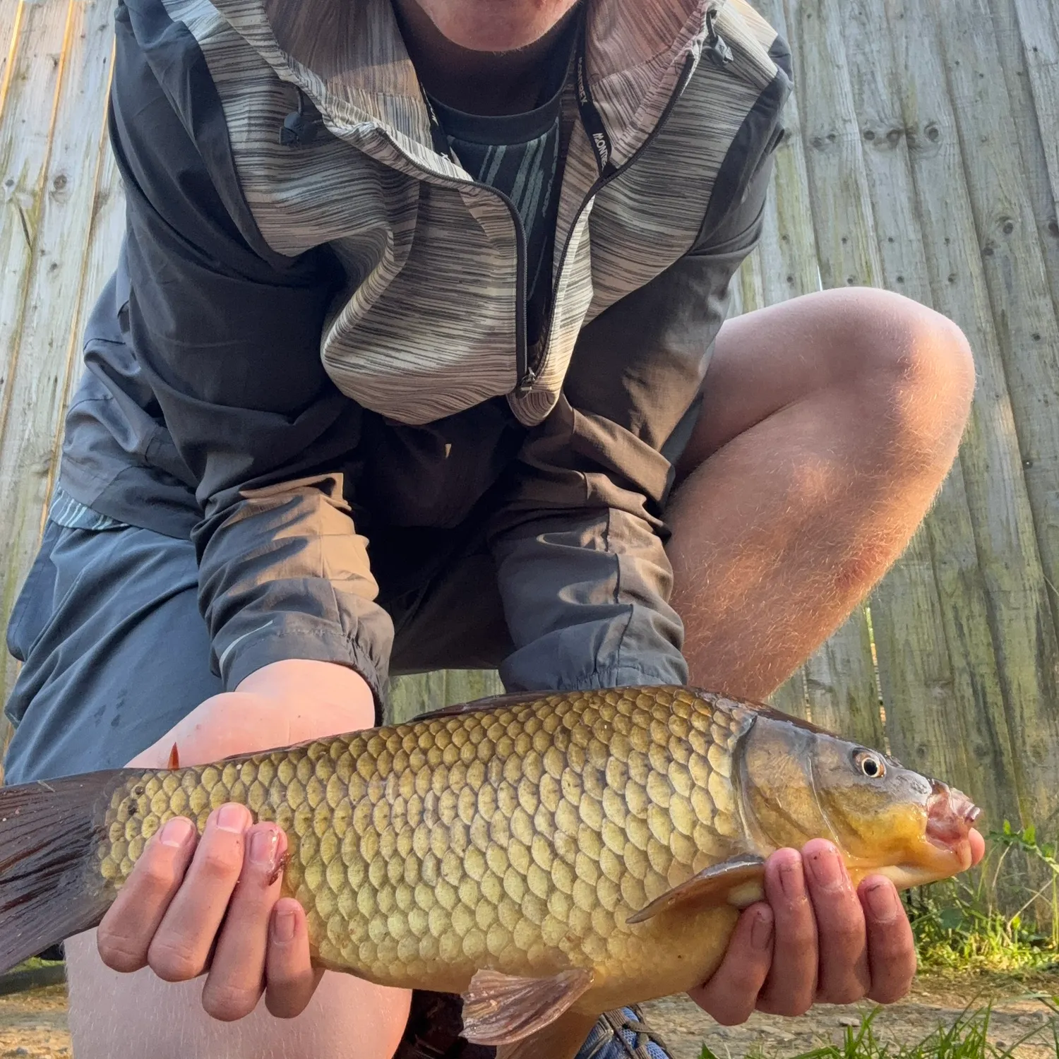 The most recent Crucian carp catches on Fishbrain