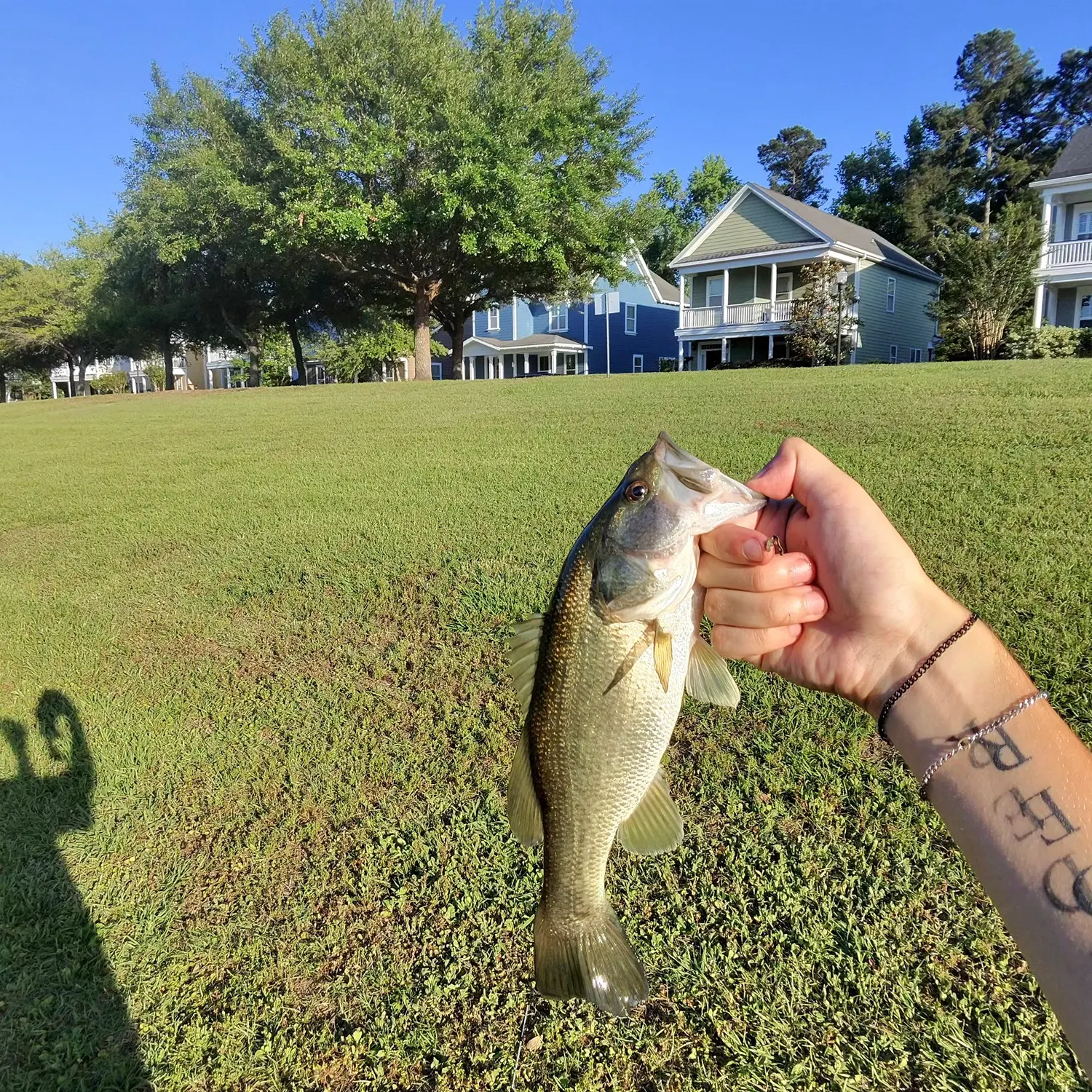 catch