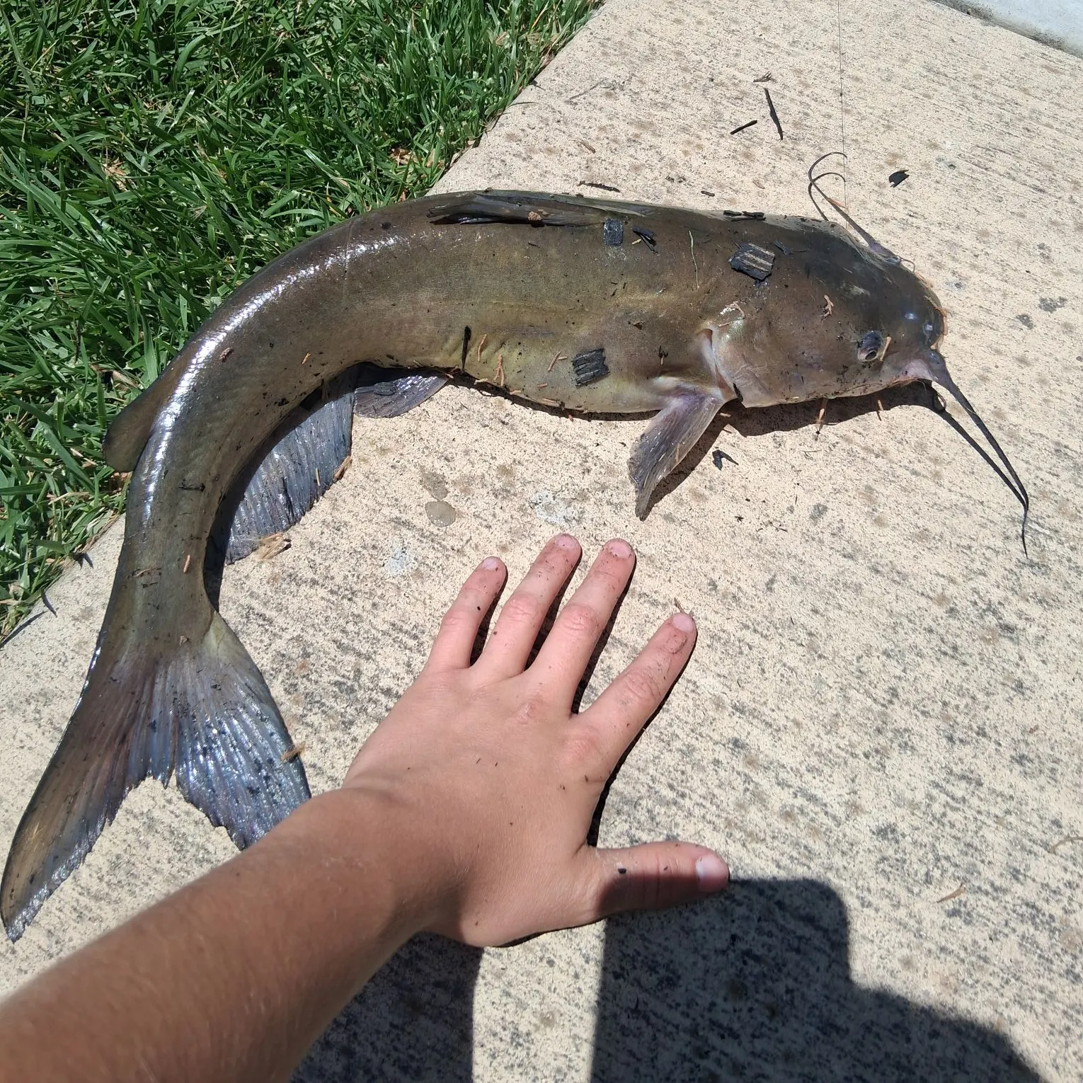 catch