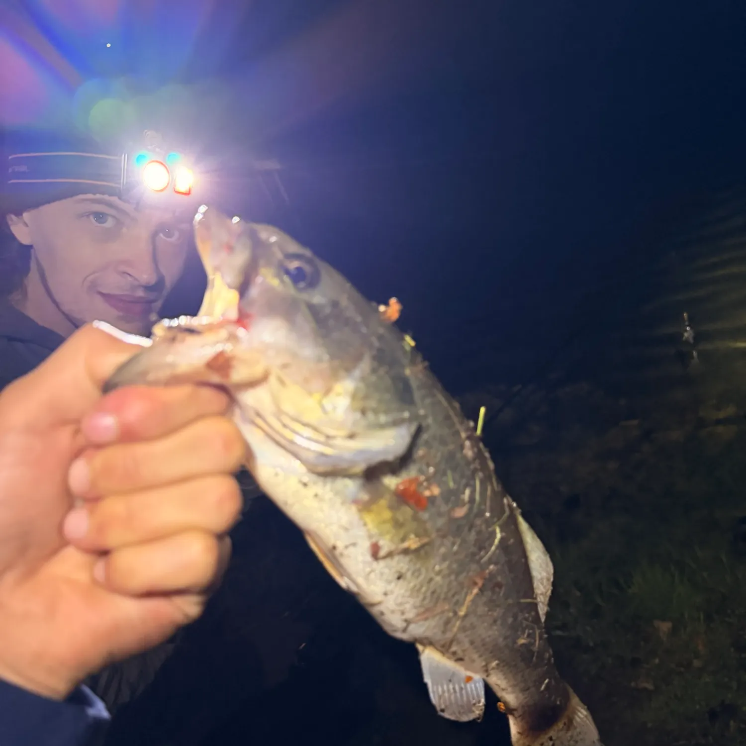 Smallmouth bass caught on Fishbrain
