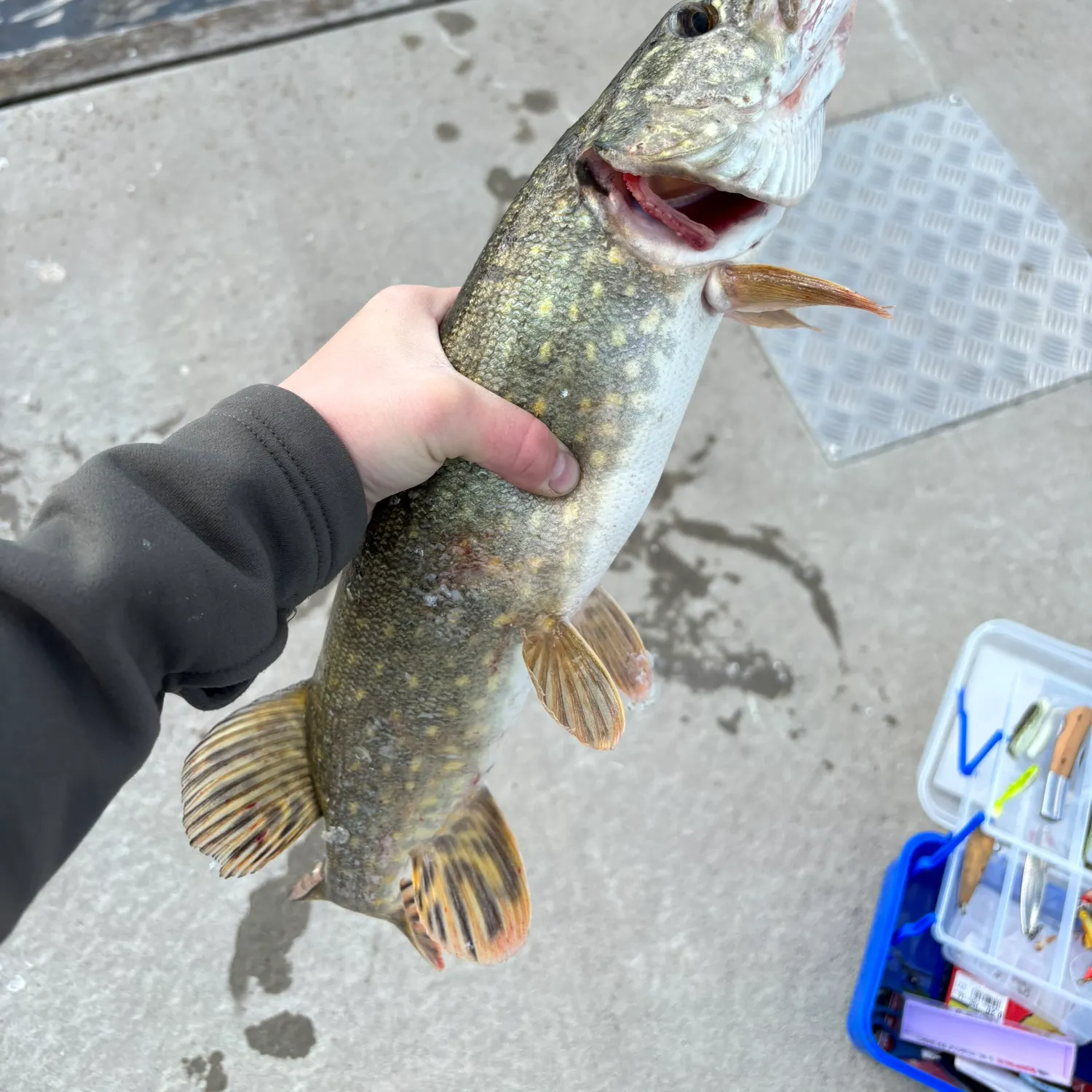 catch
