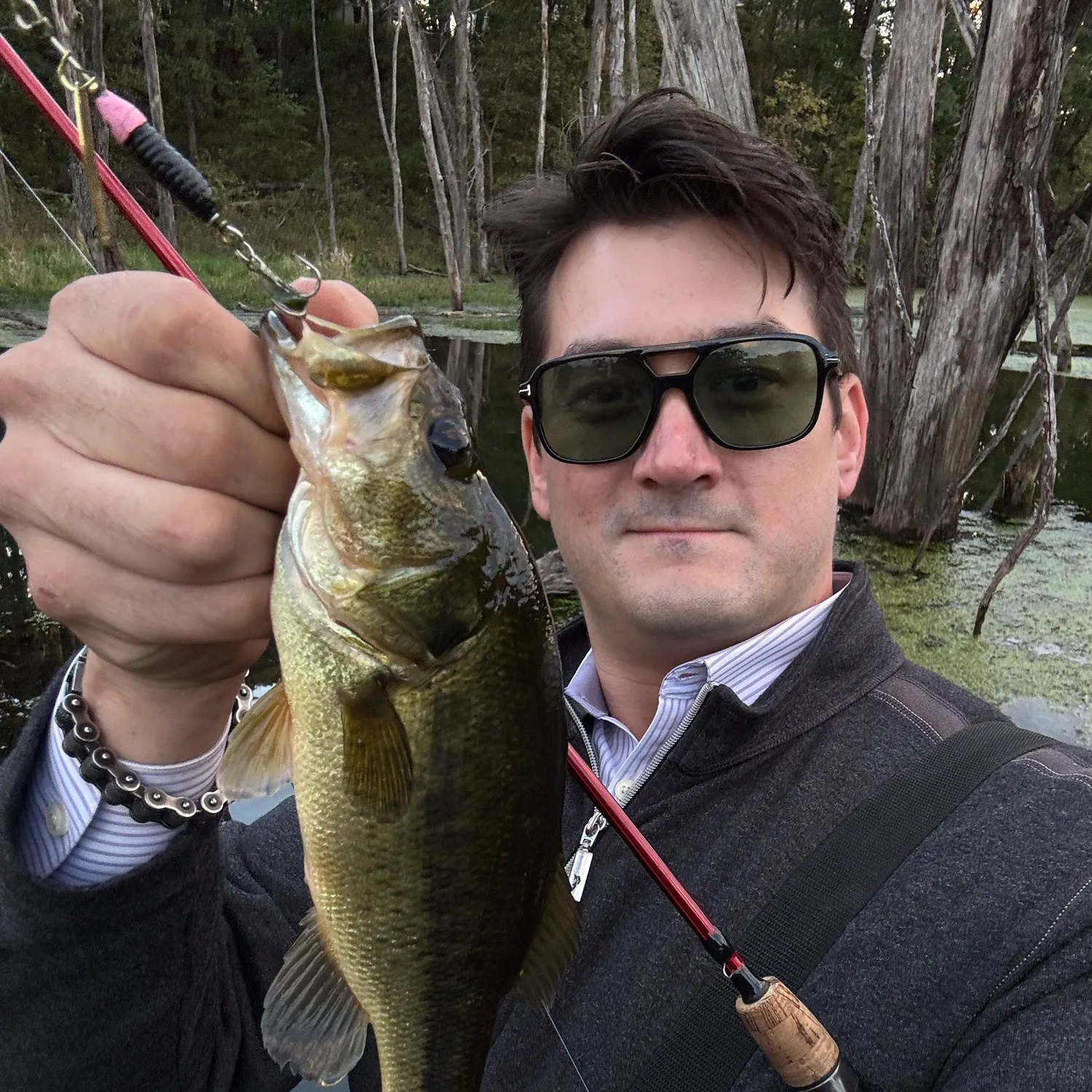 Largemouth bass caught on Fishbrain
