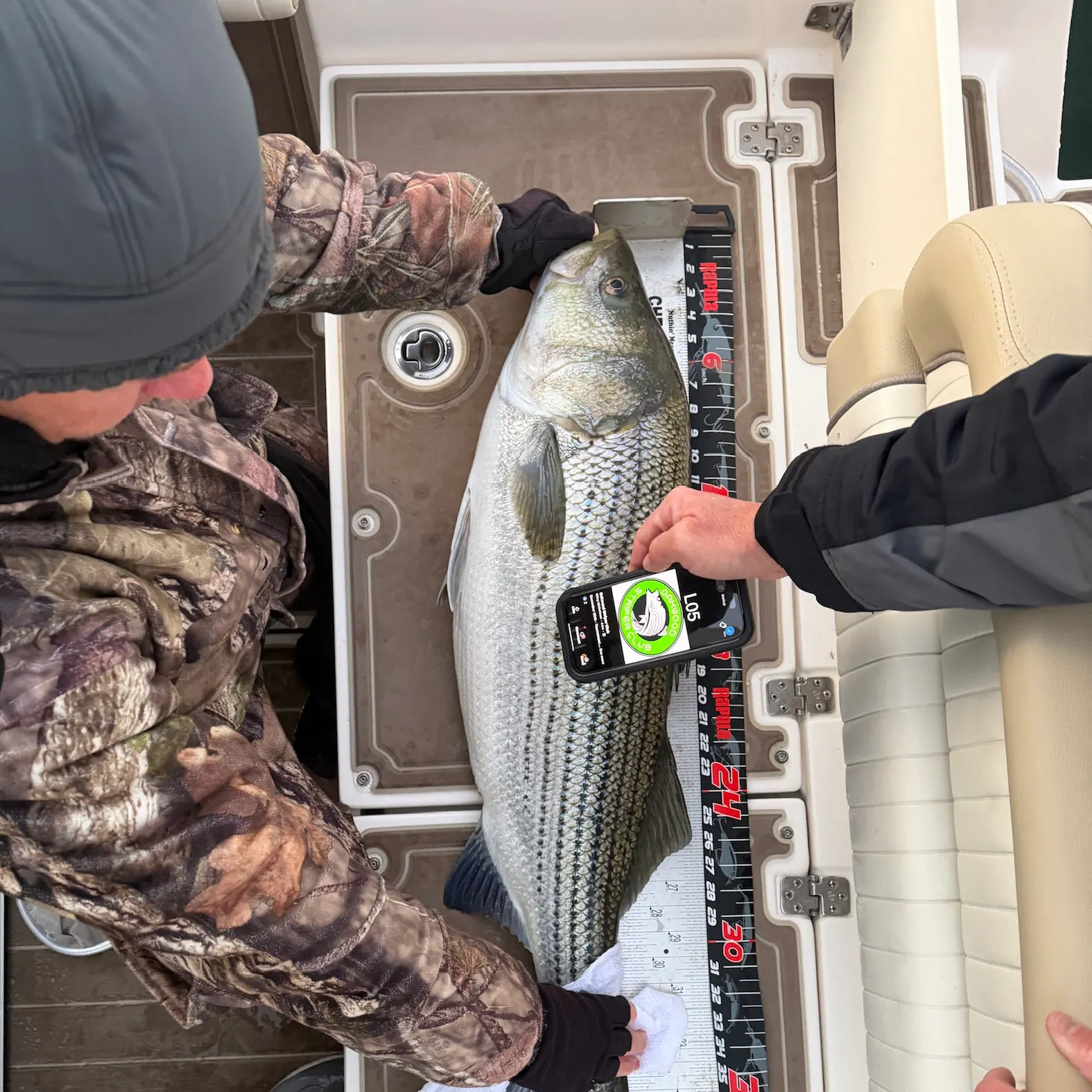 recently logged catches