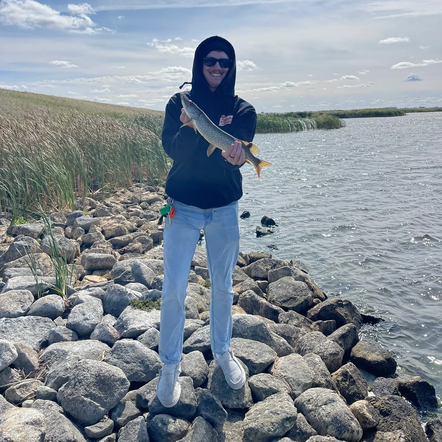 Northern pike caught on Fishbrain