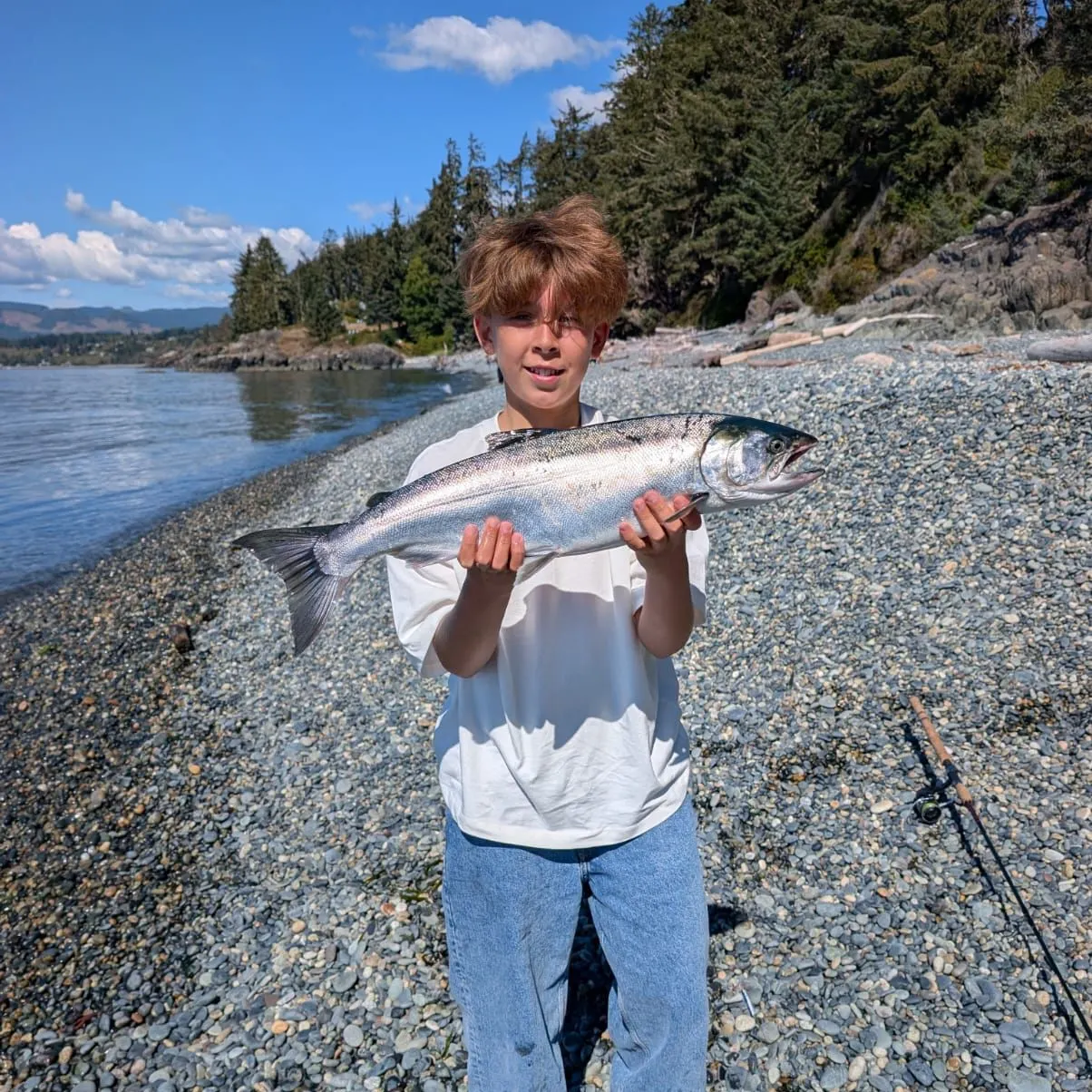 Coho salmon caught on Fishbrain