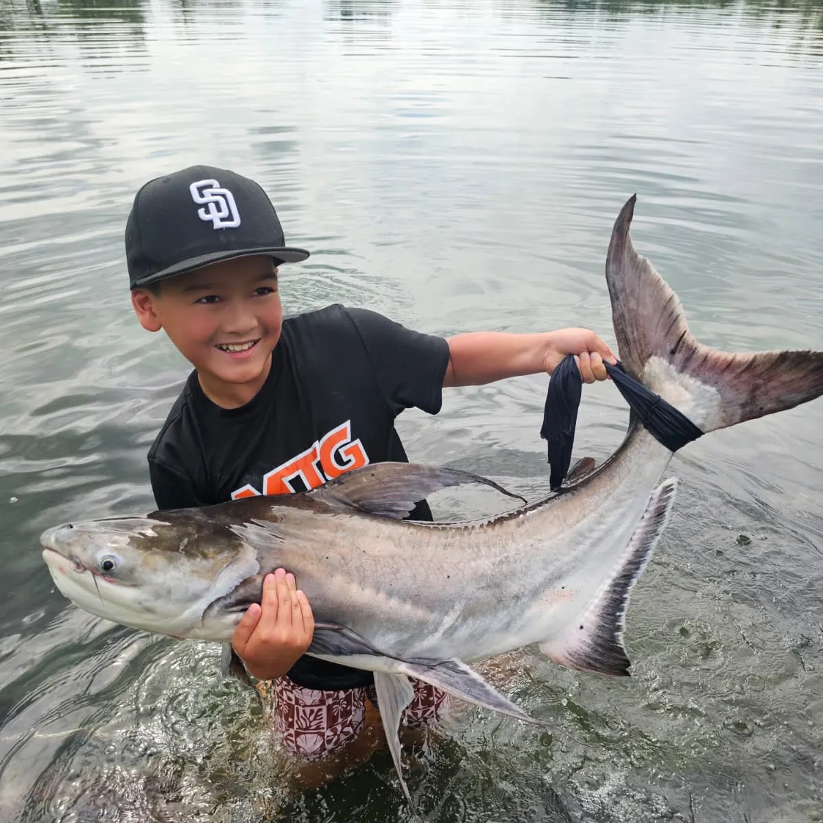 The most recent Mekong giant catfish catches on Fishbrain