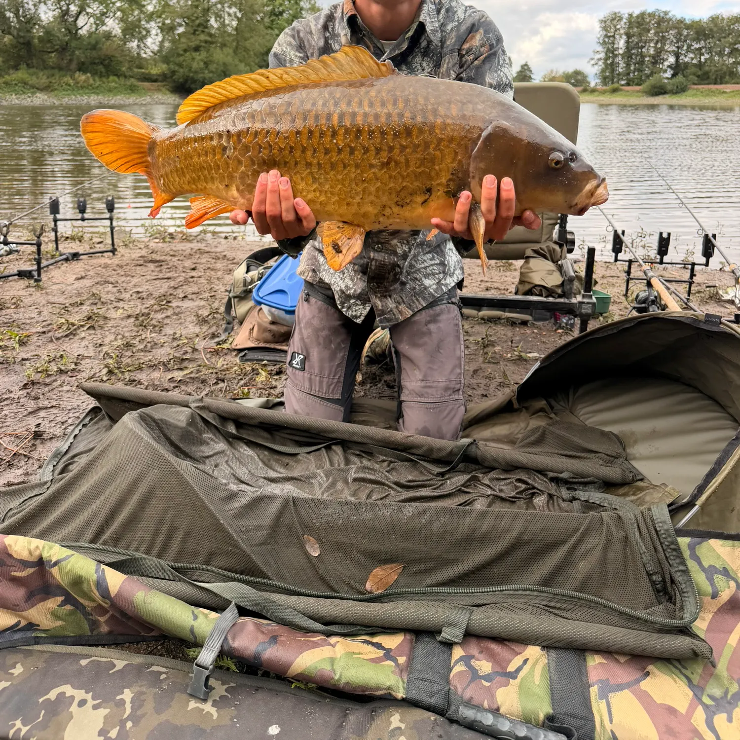 Common carp caught on Fishbrain