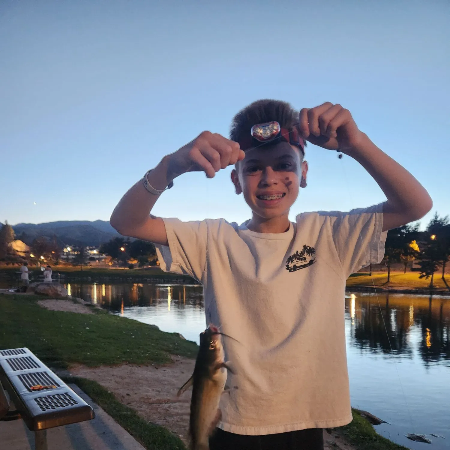 Channel catfish caught on Fishbrain