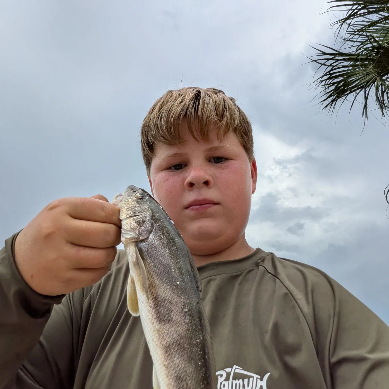 The most recent Gulf kingcroaker catches on Fishbrain