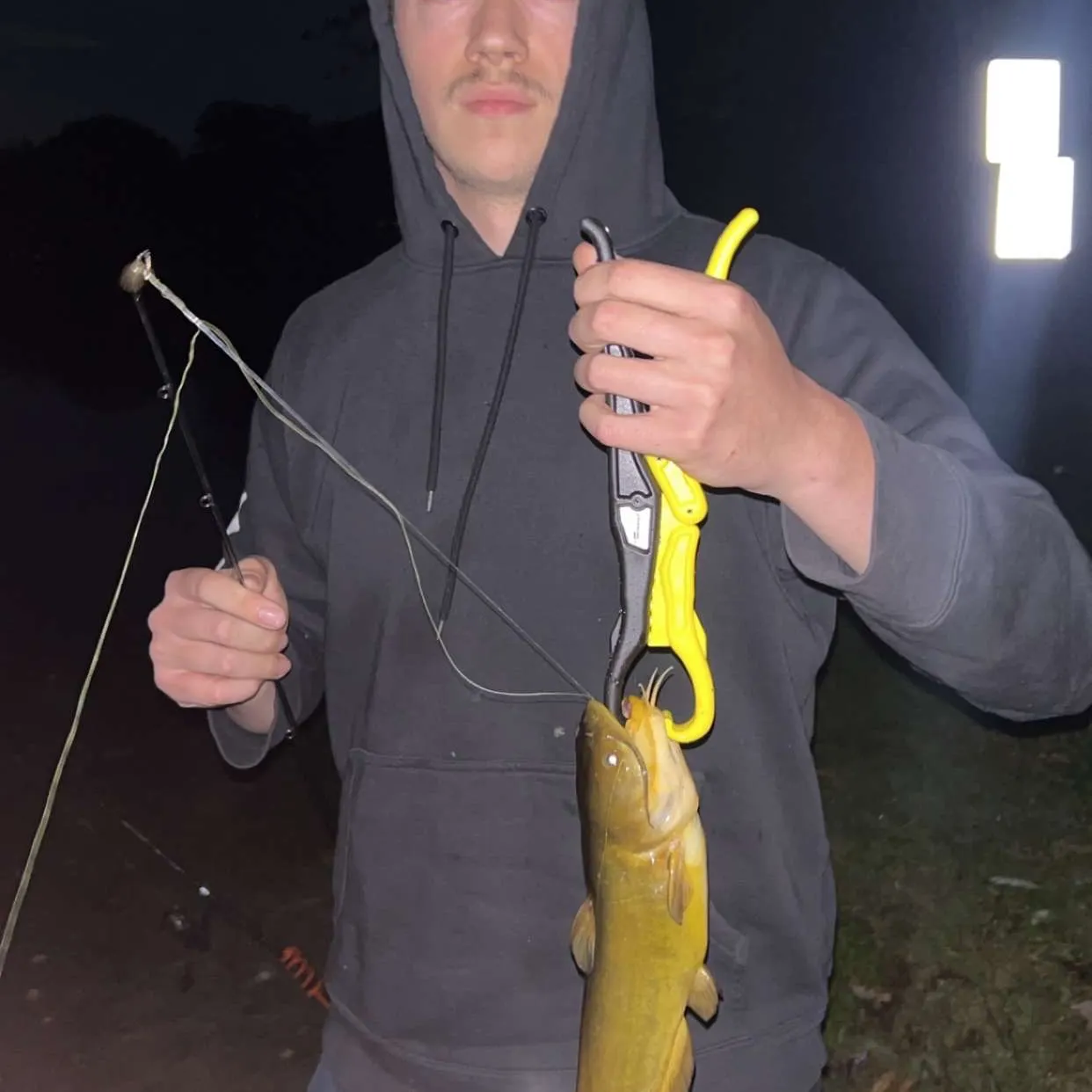 Yellow bullhead caught on Fishbrain