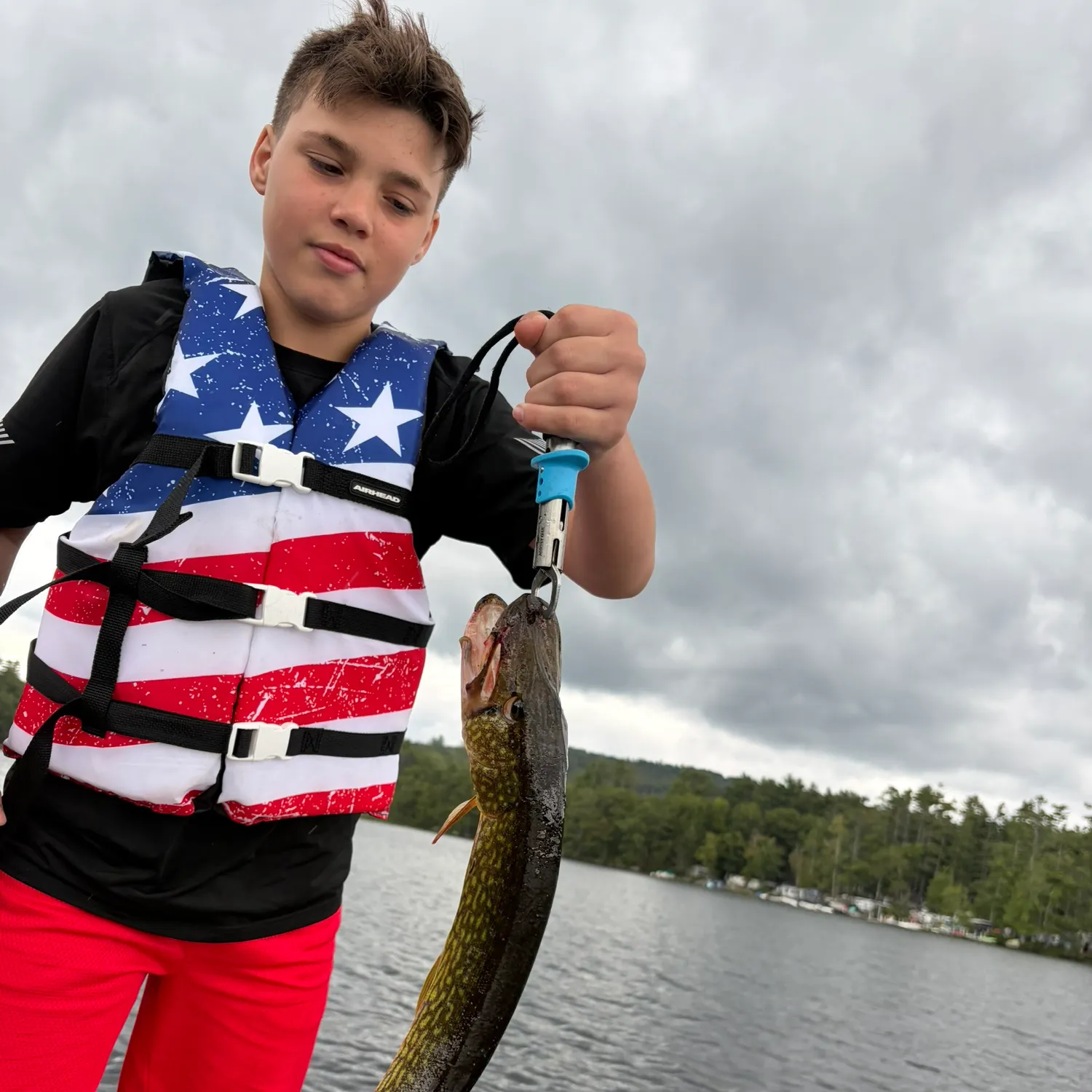 Chain pickerel caught on Fishbrain
