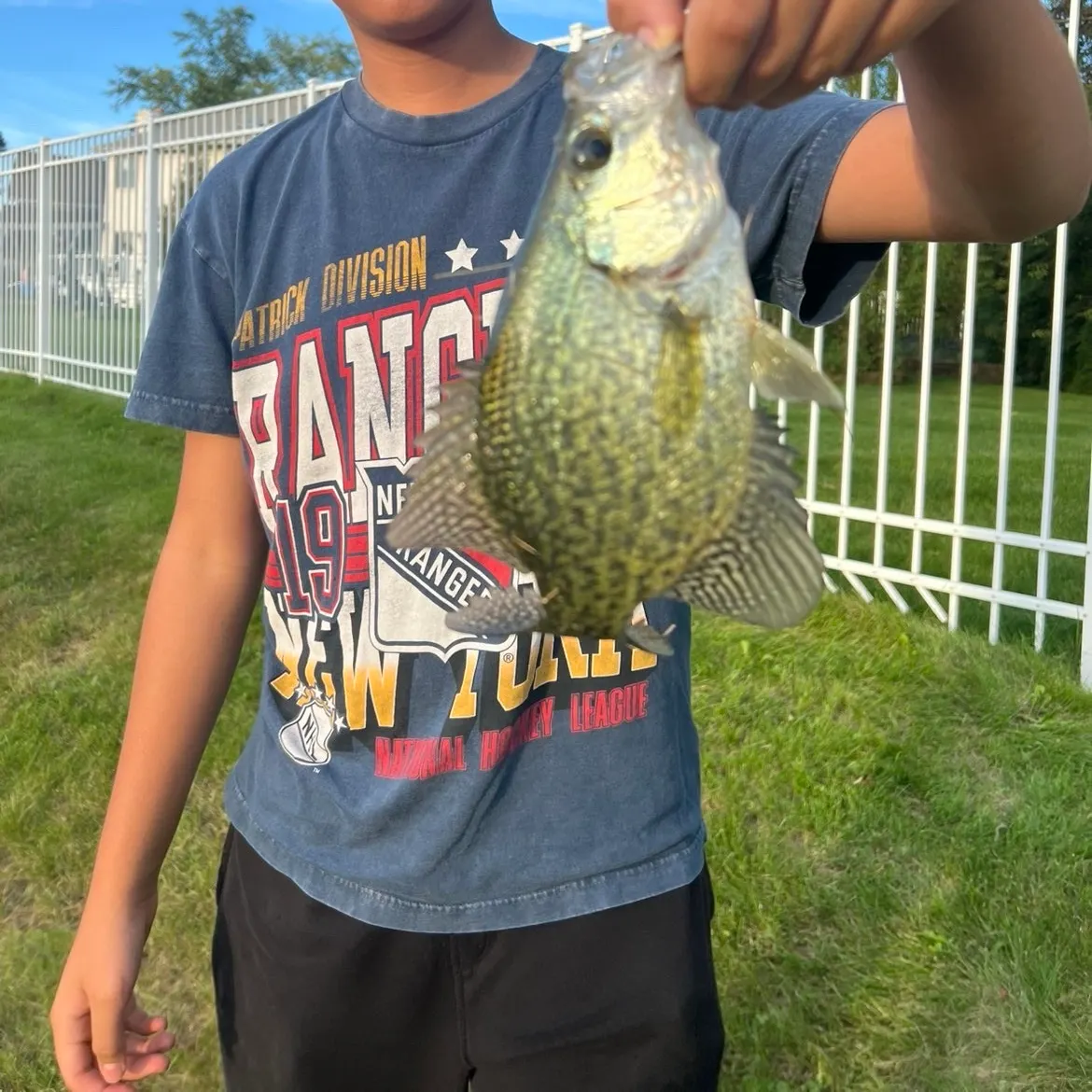 Black crappie caught on Fishbrain