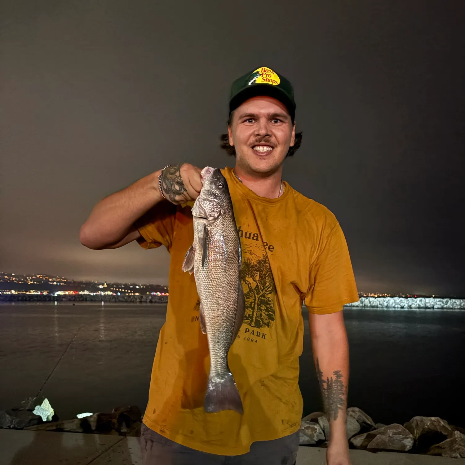 The most recent California corbina catches on Fishbrain