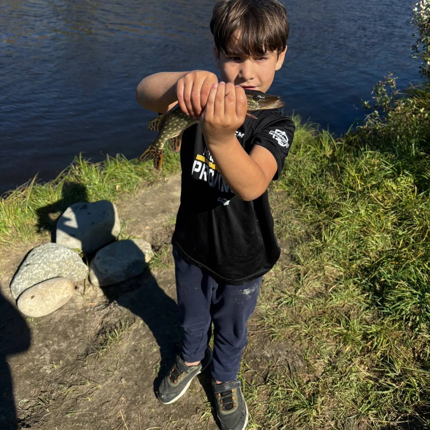Northern pike caught on Fishbrain