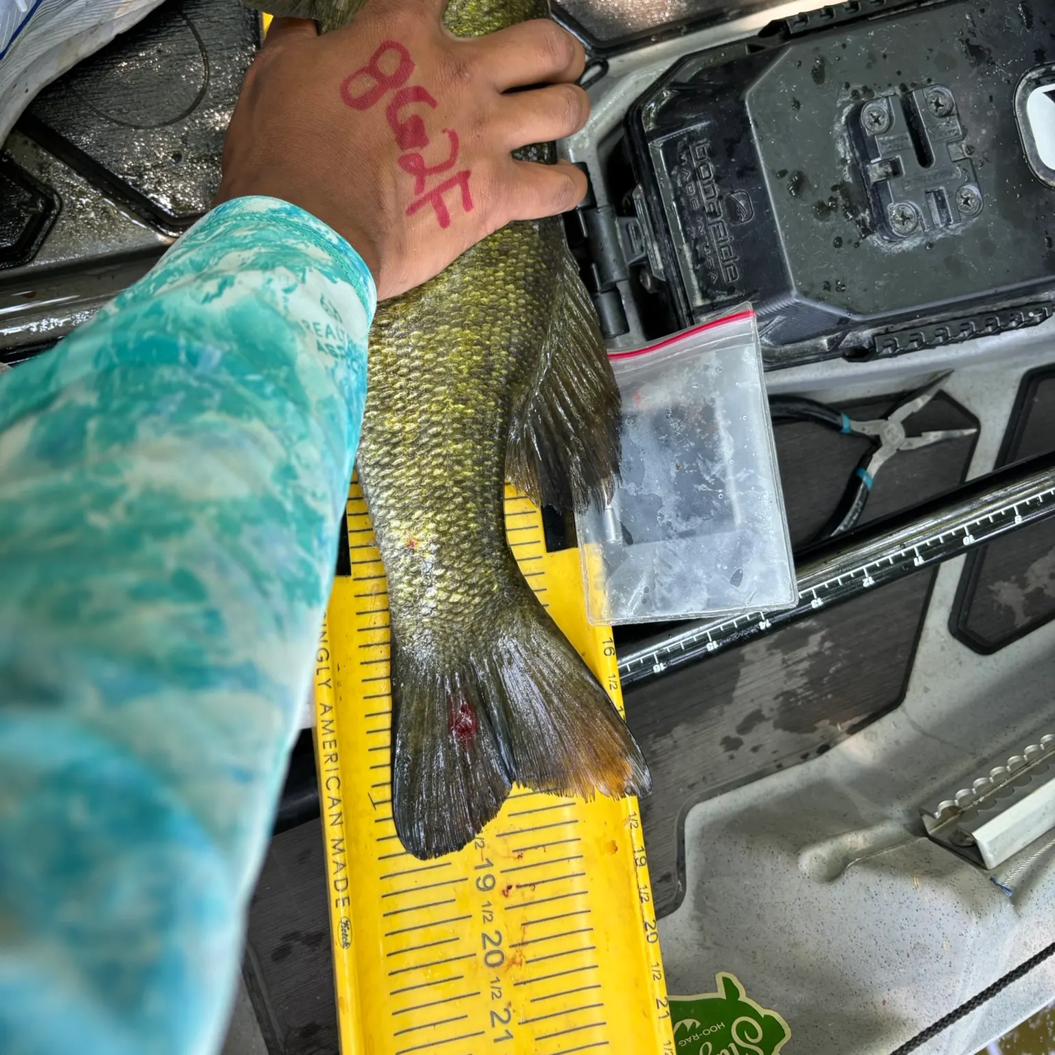 recently logged catches