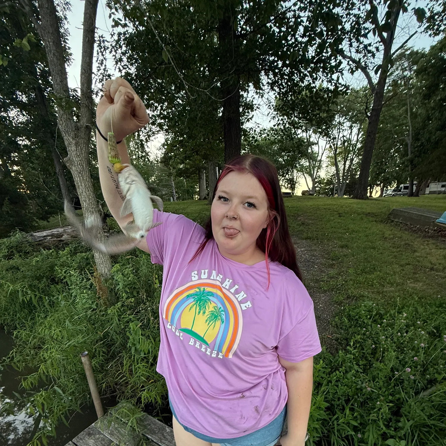 recently logged catches