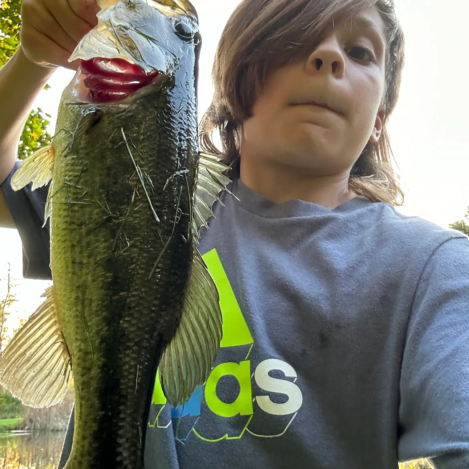 Largemouth bass caught on Fishbrain