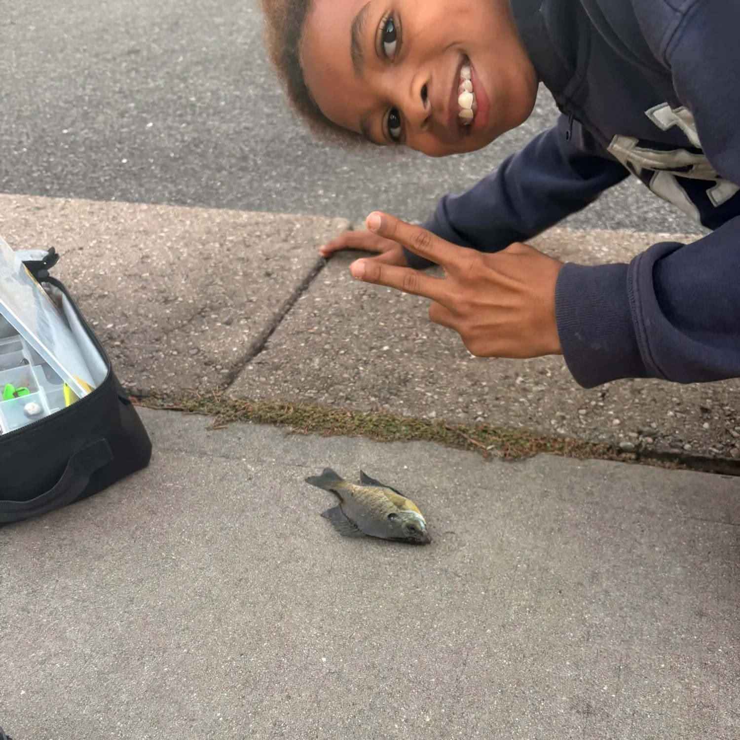 Bluegill caught on Fishbrain