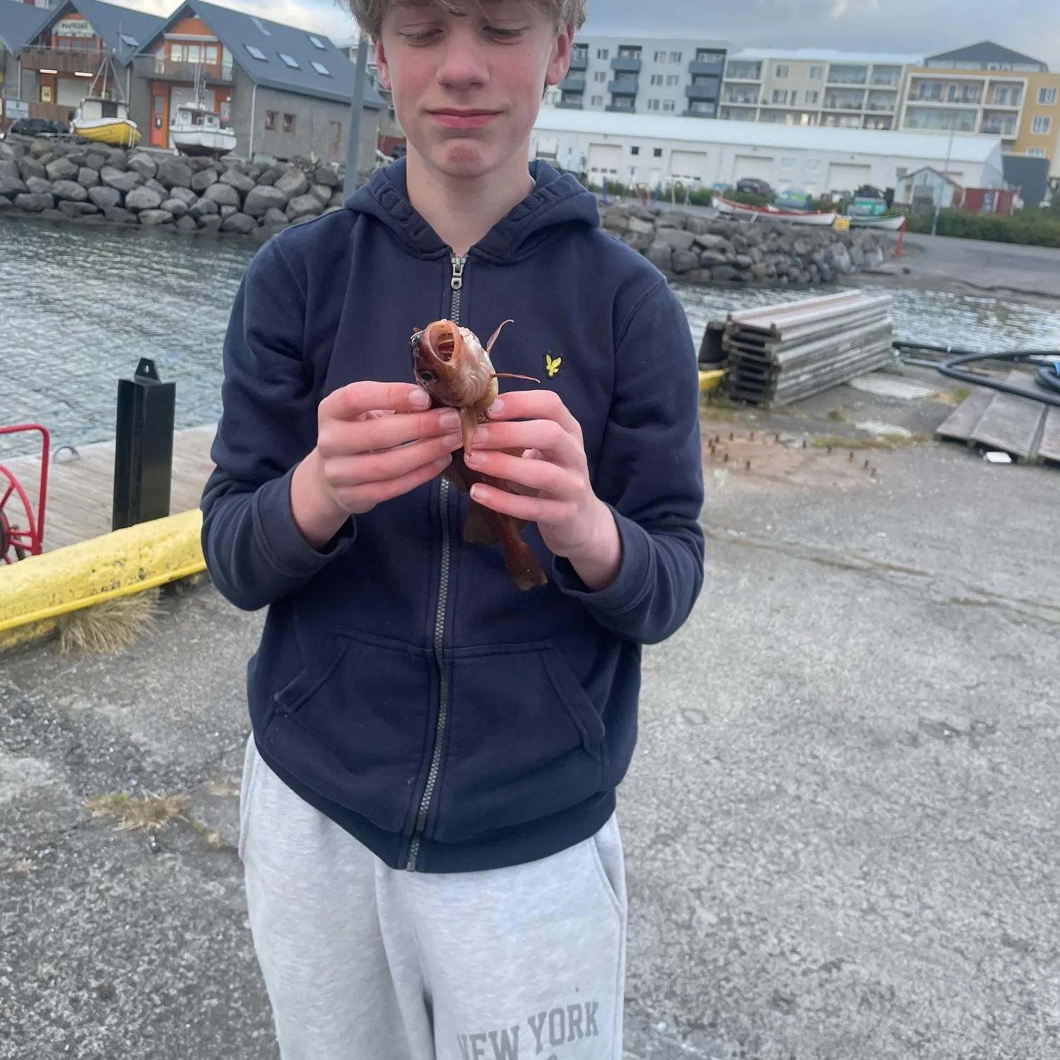 Atlantic cod caught on Fishbrain