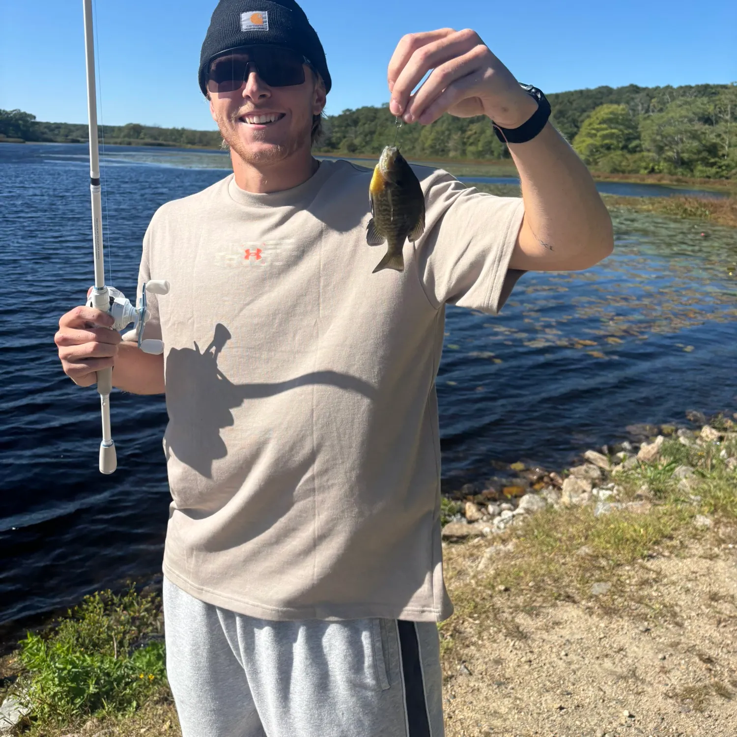Bluegill caught on Fishbrain