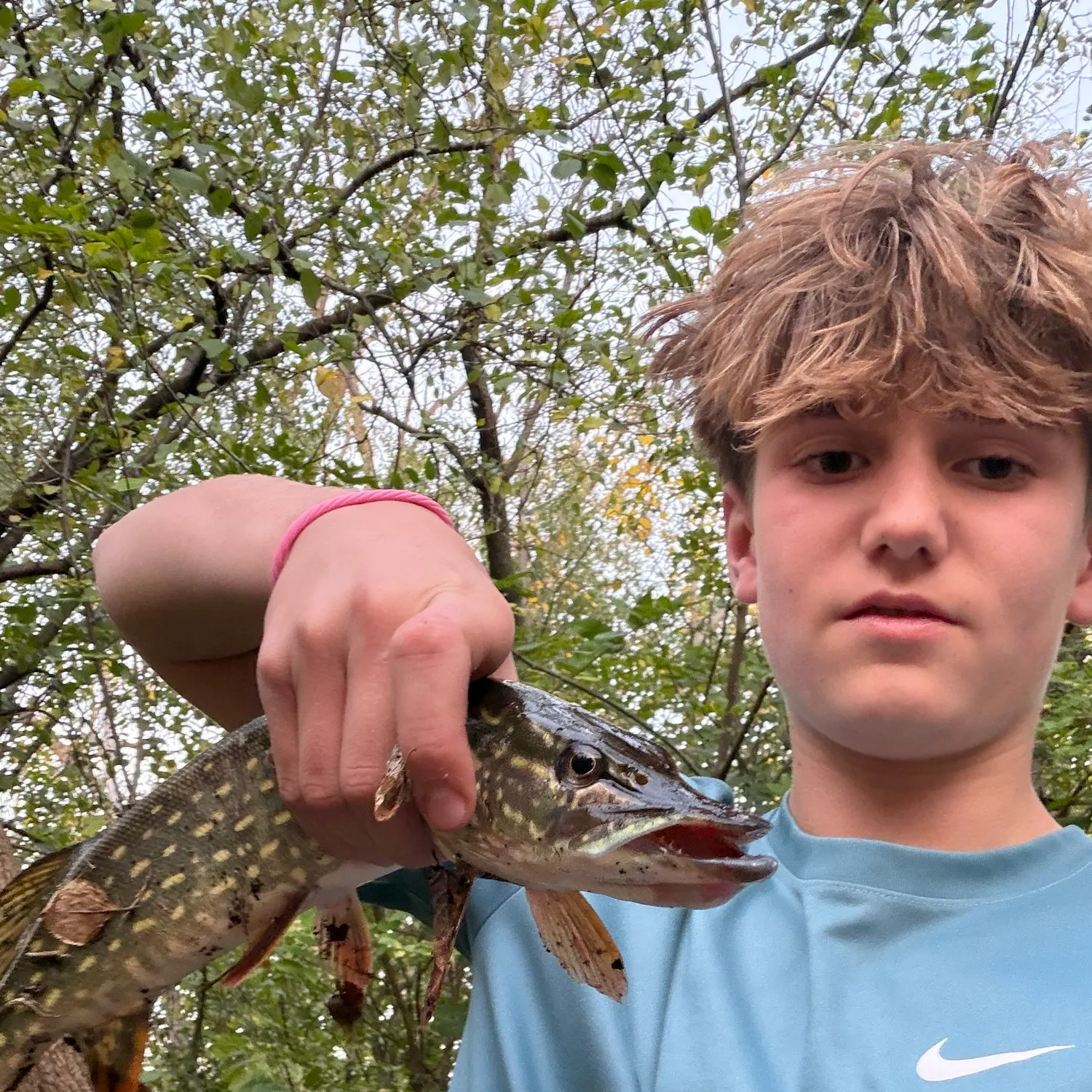 Northern pike caught on Fishbrain