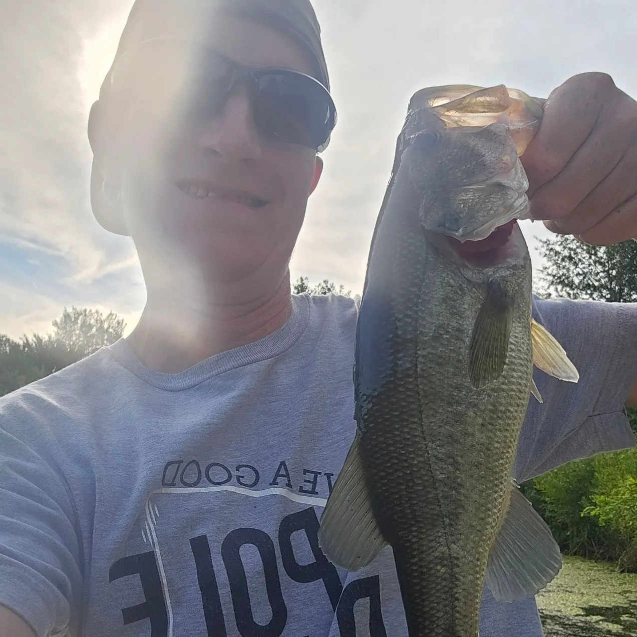 Largemouth bass caught on Fishbrain