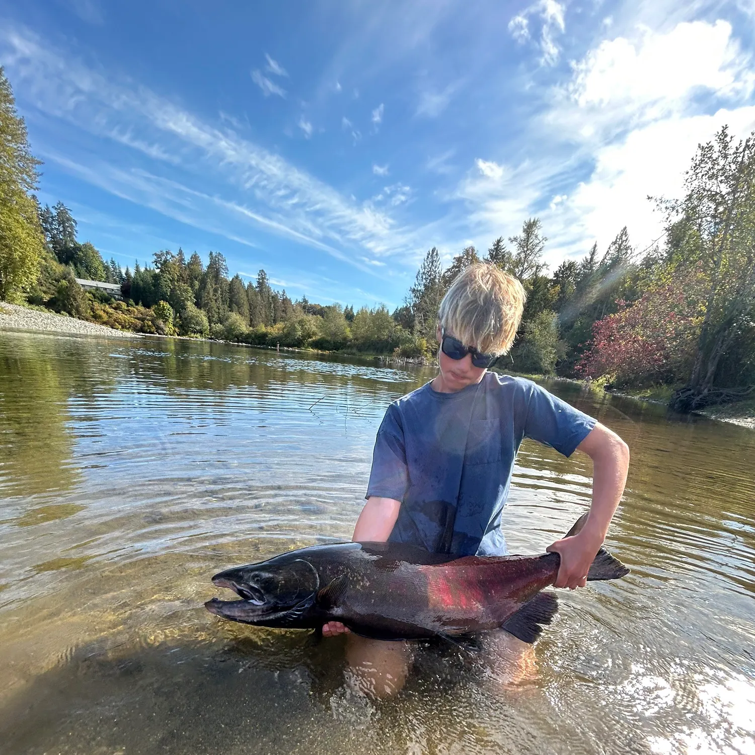 Chinook salmon caught on Fishbrain