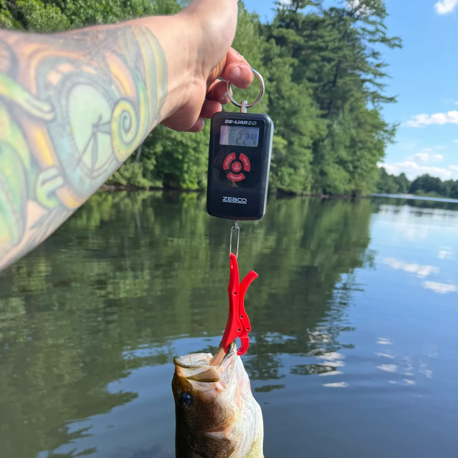 recently logged catches