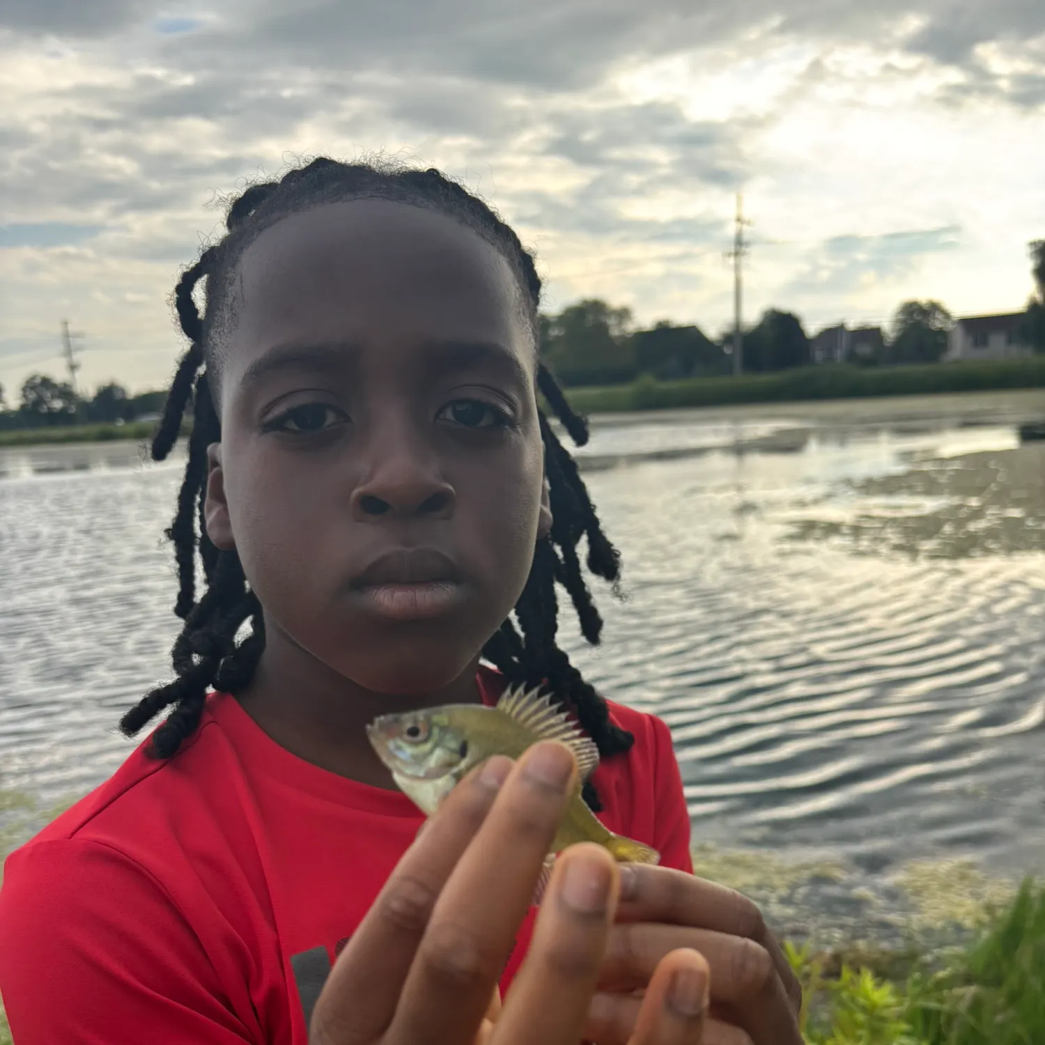 Bluegill caught on Fishbrain