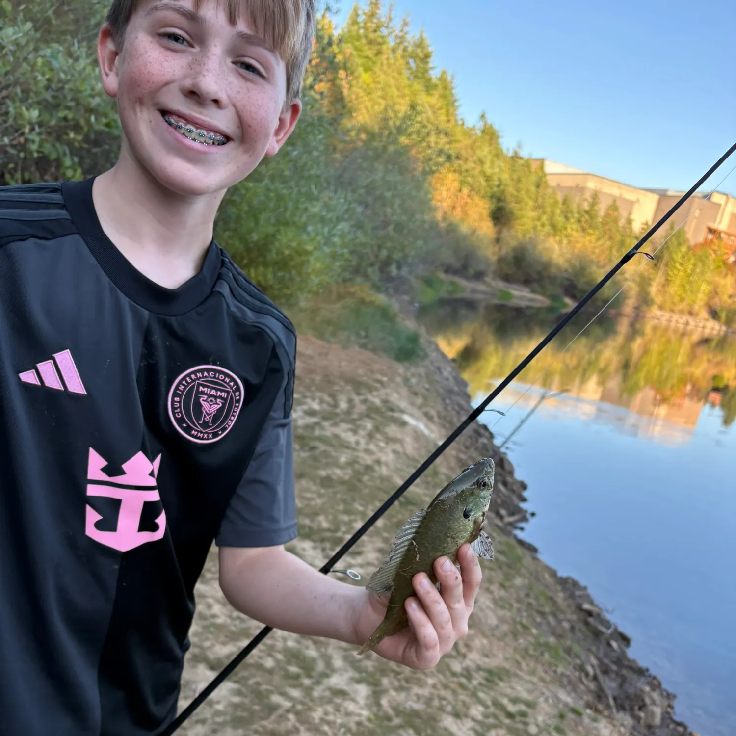 Bluegill caught on Fishbrain