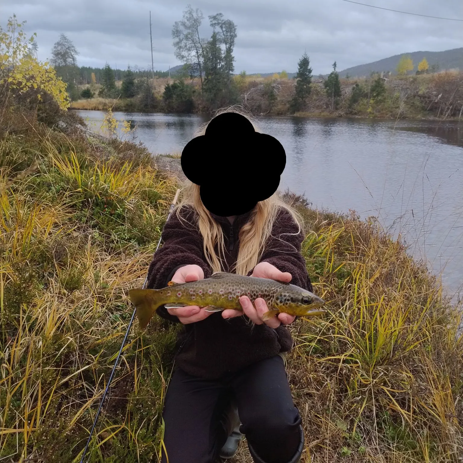 The most recent Lake trout catches on Fishbrain