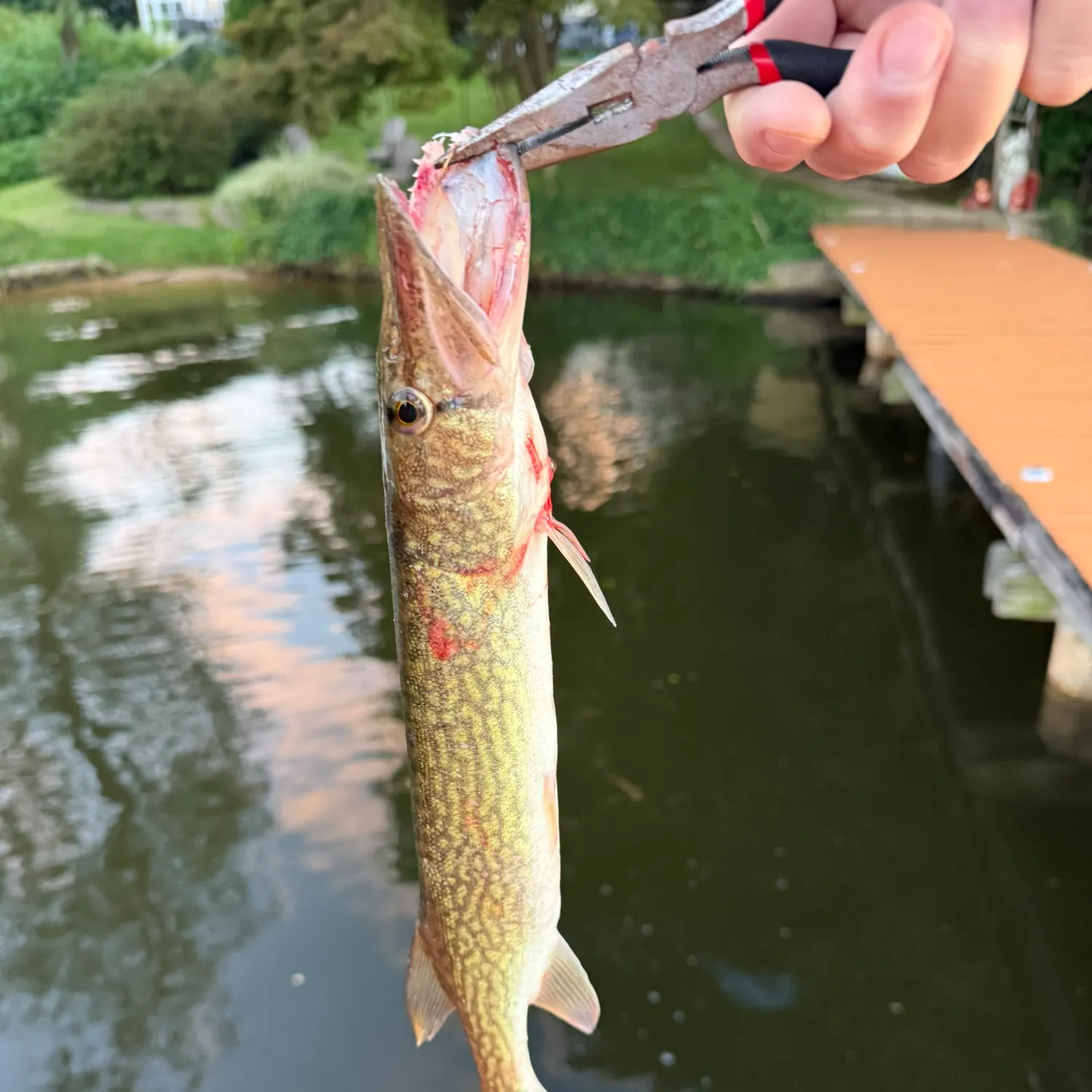 catch