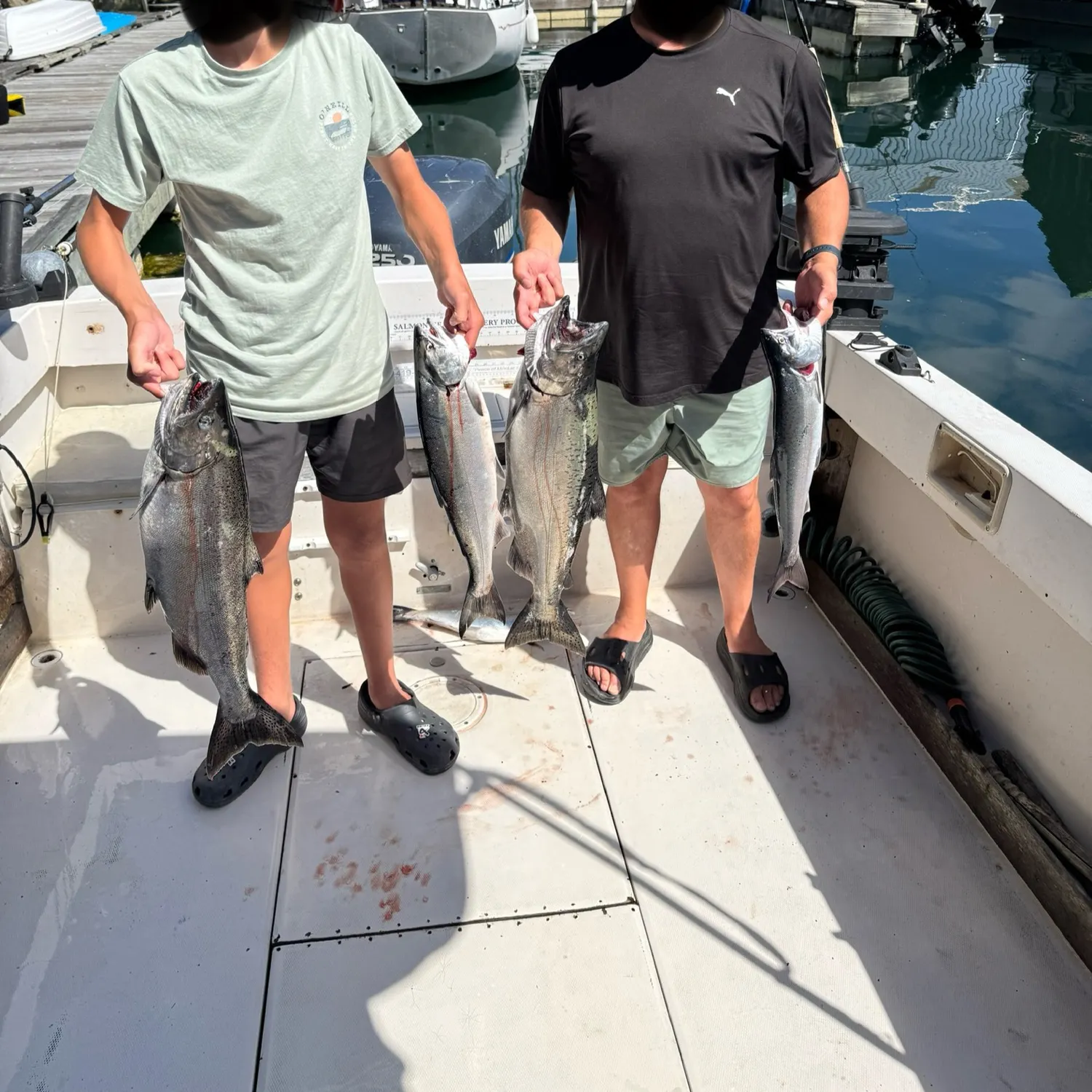 recently logged catches