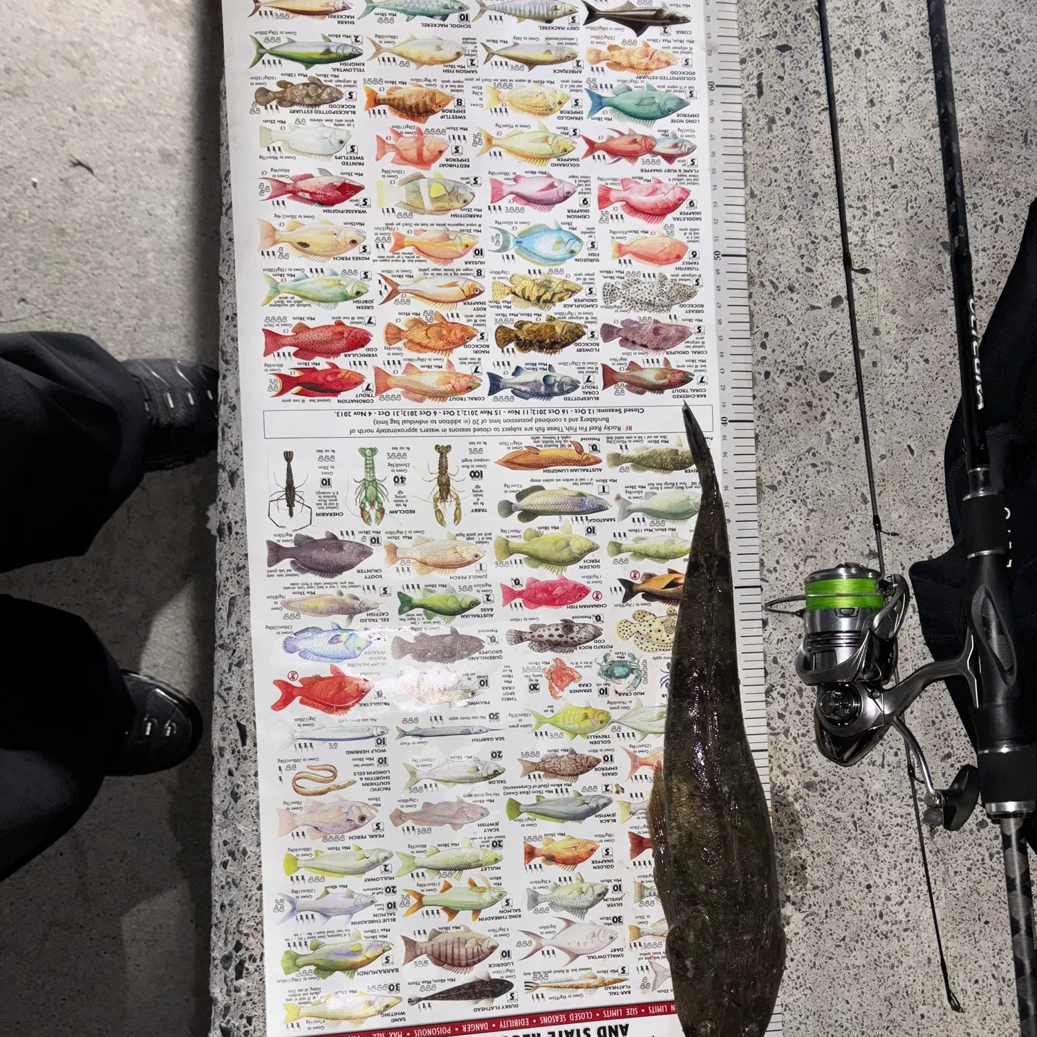 recently logged catches