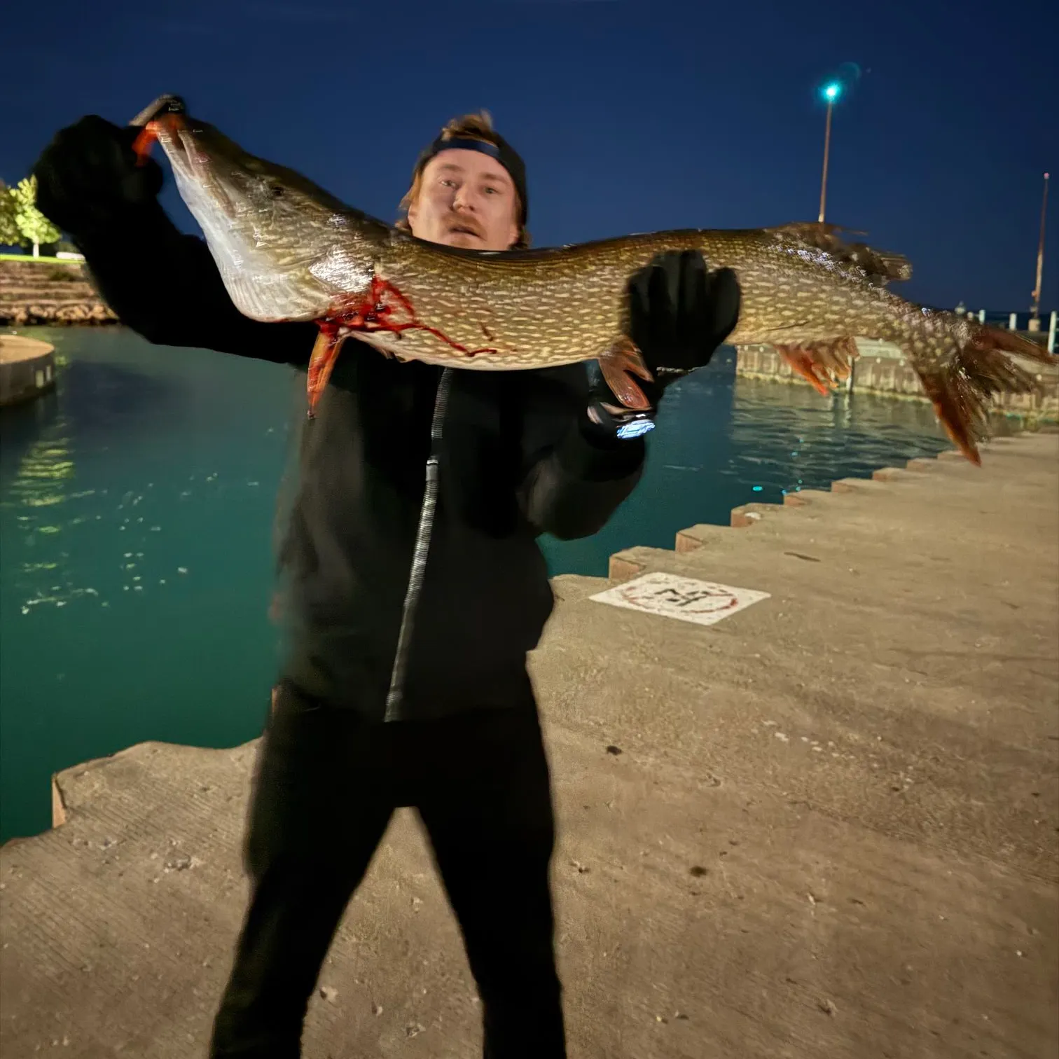 Northern pike caught on Fishbrain