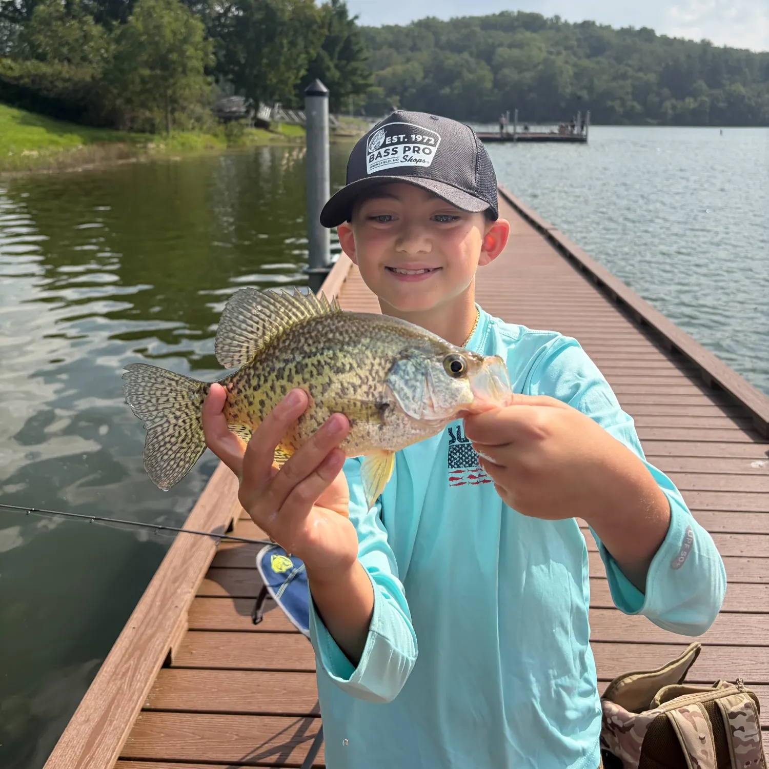 Black crappie caught on Fishbrain